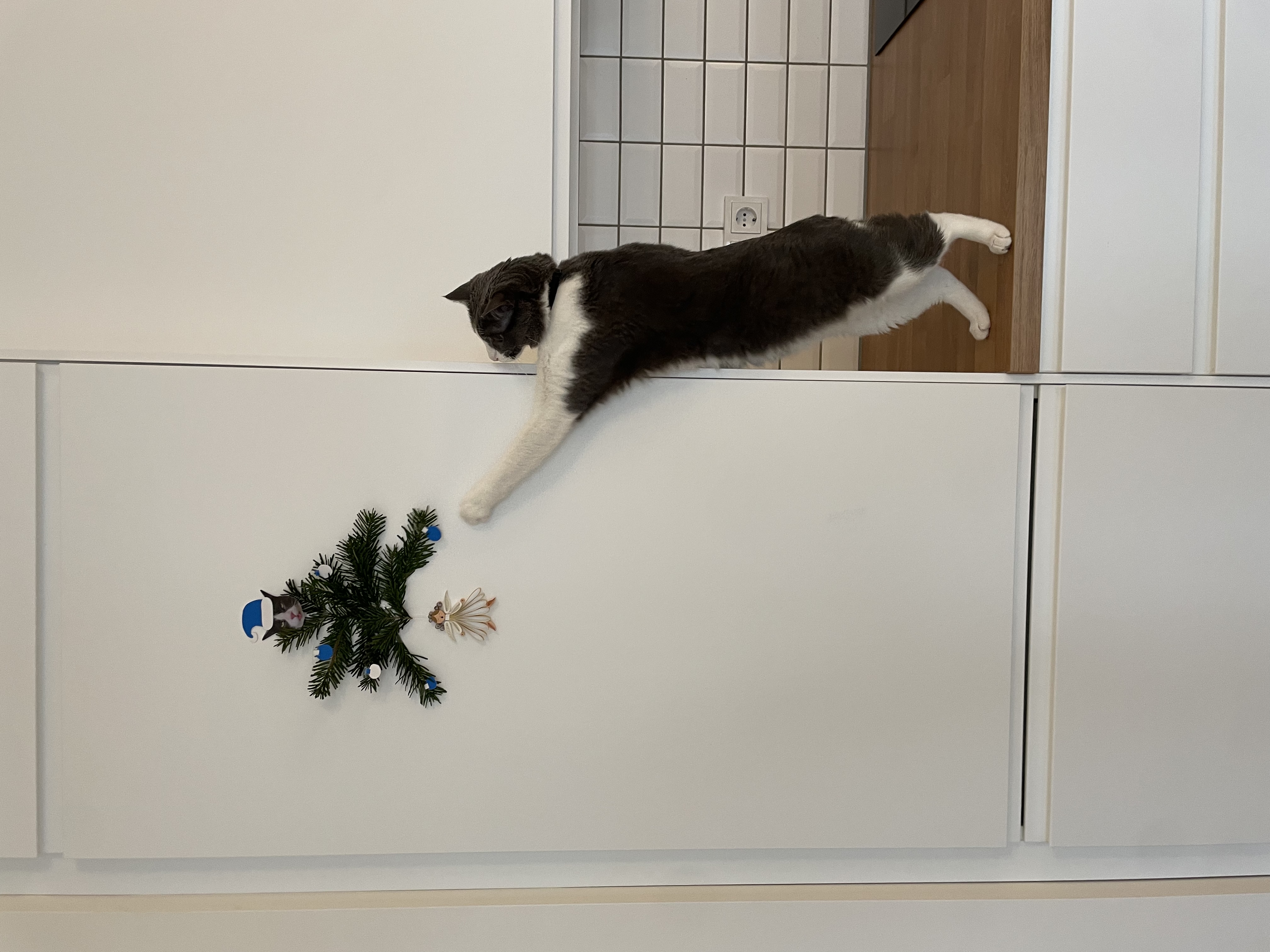 image-6