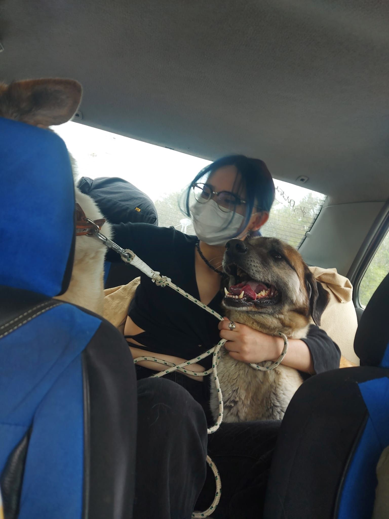 image-7