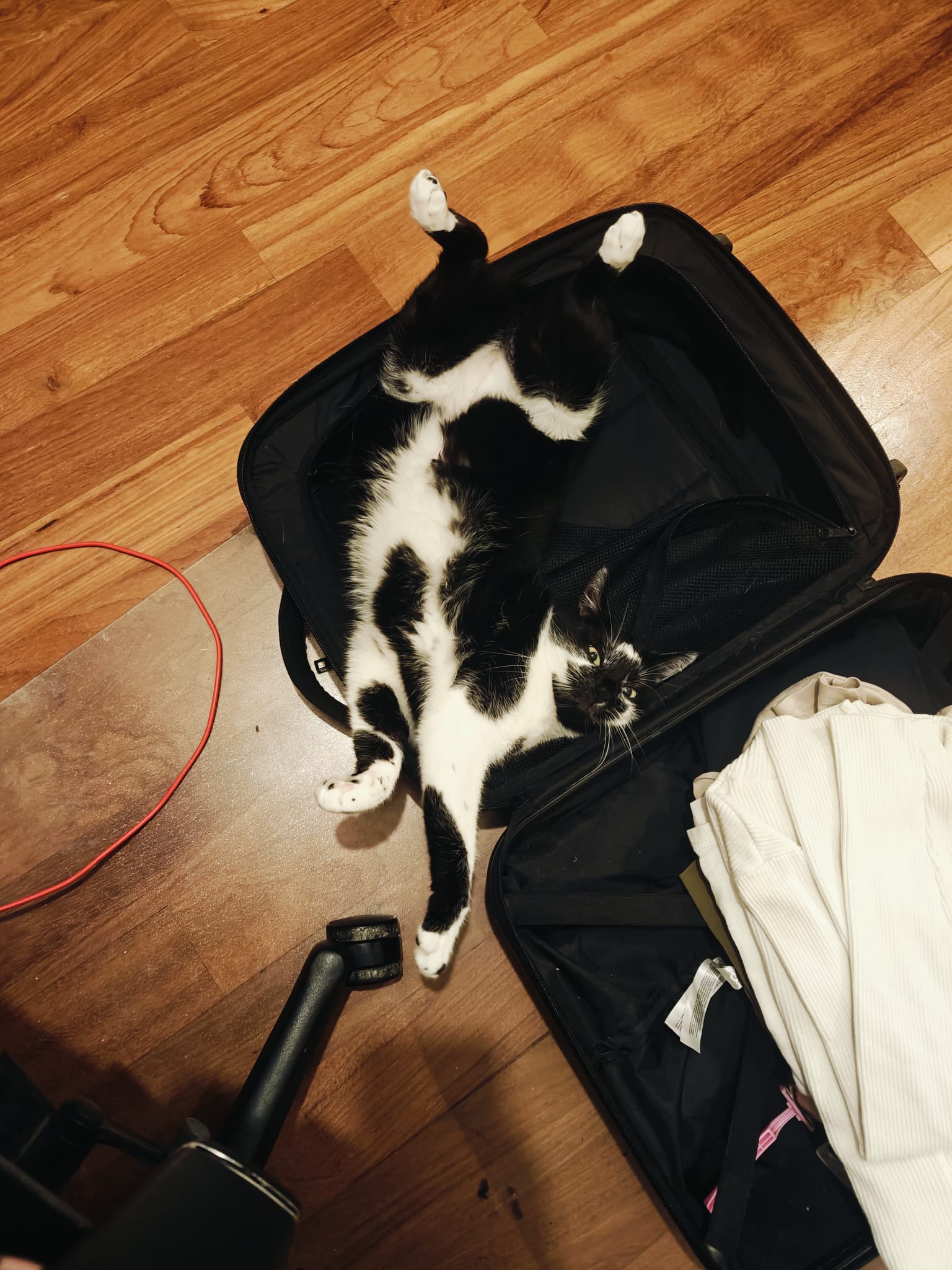 image-5