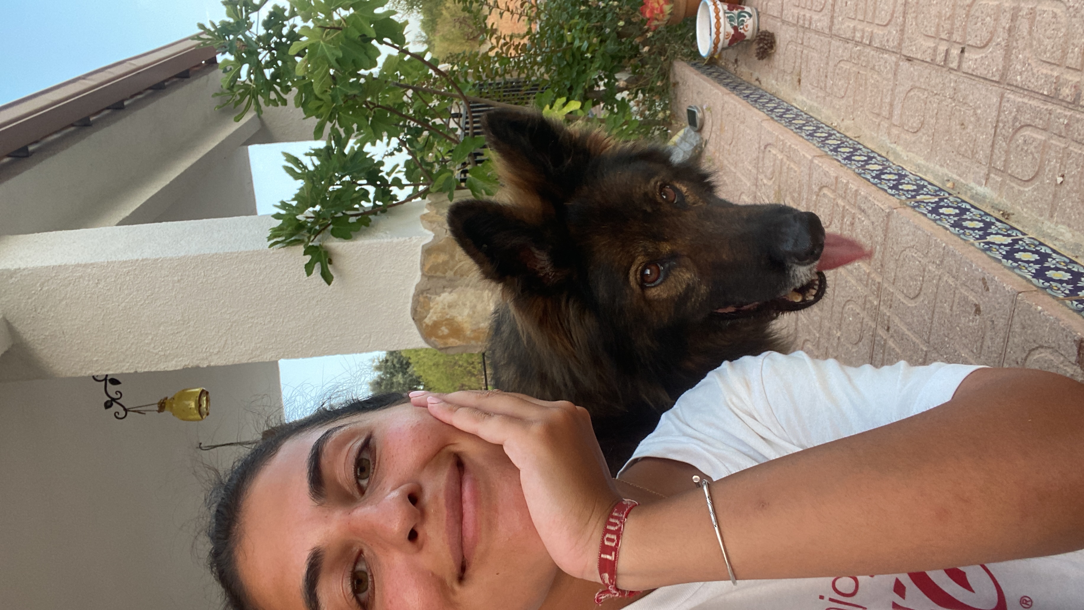 image-8