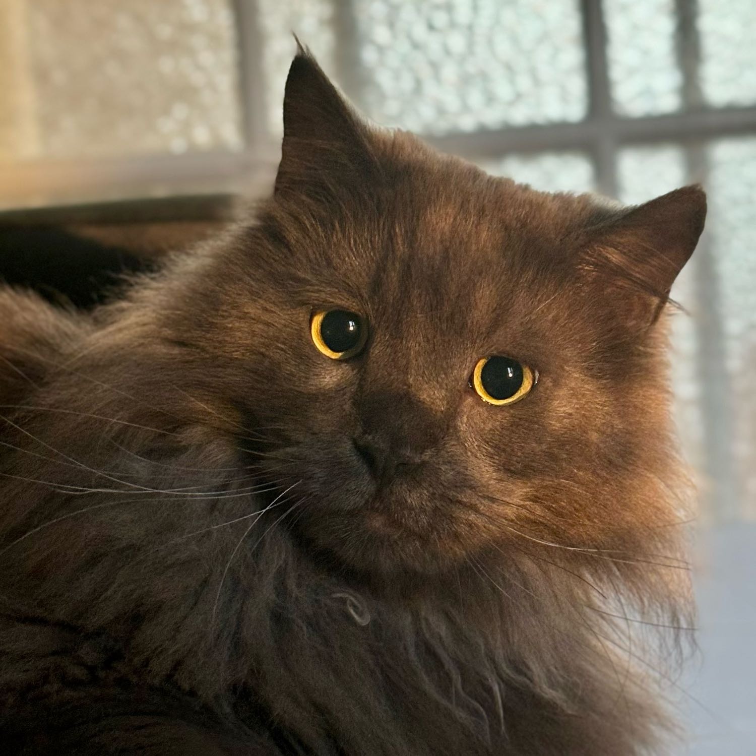 Billy