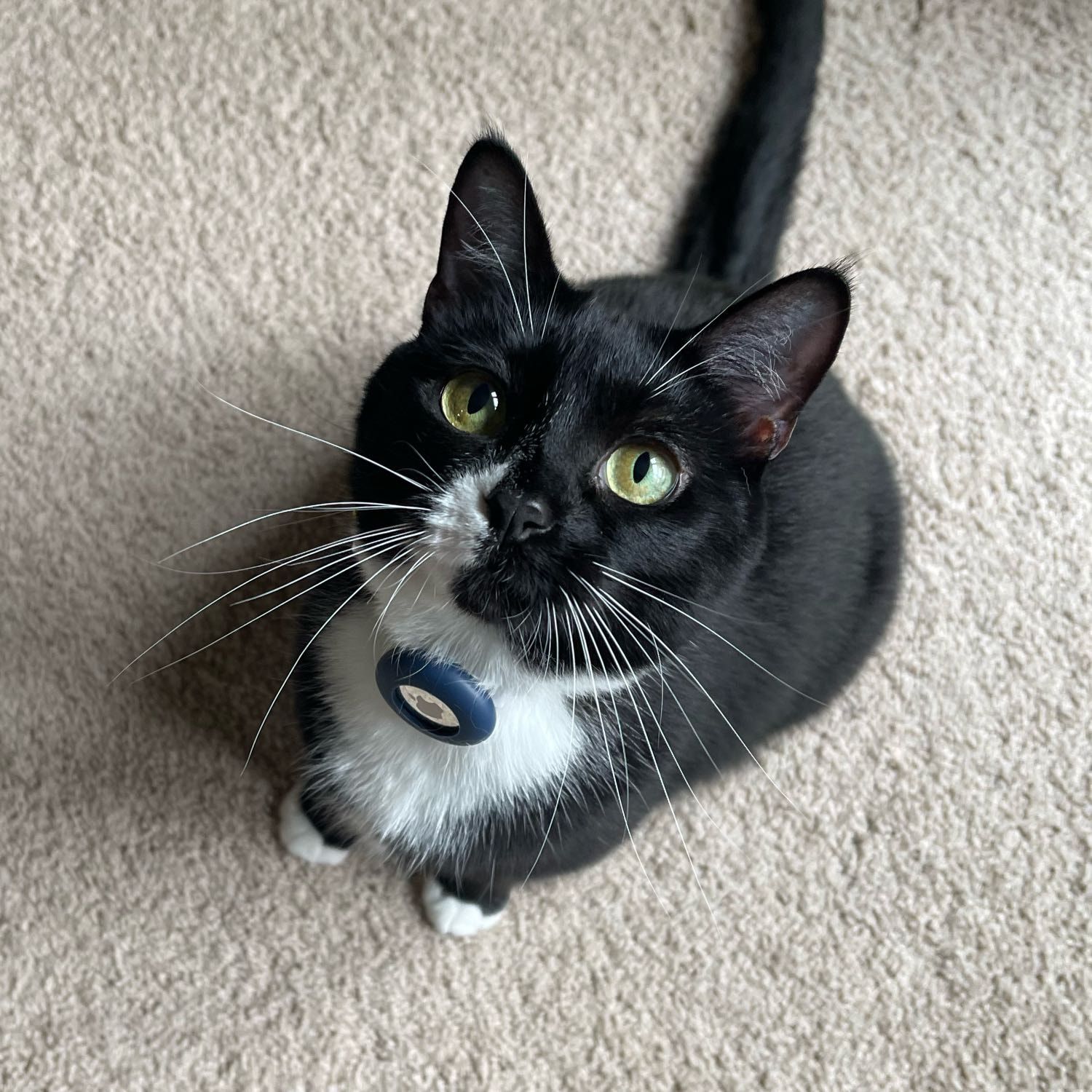 Winnie