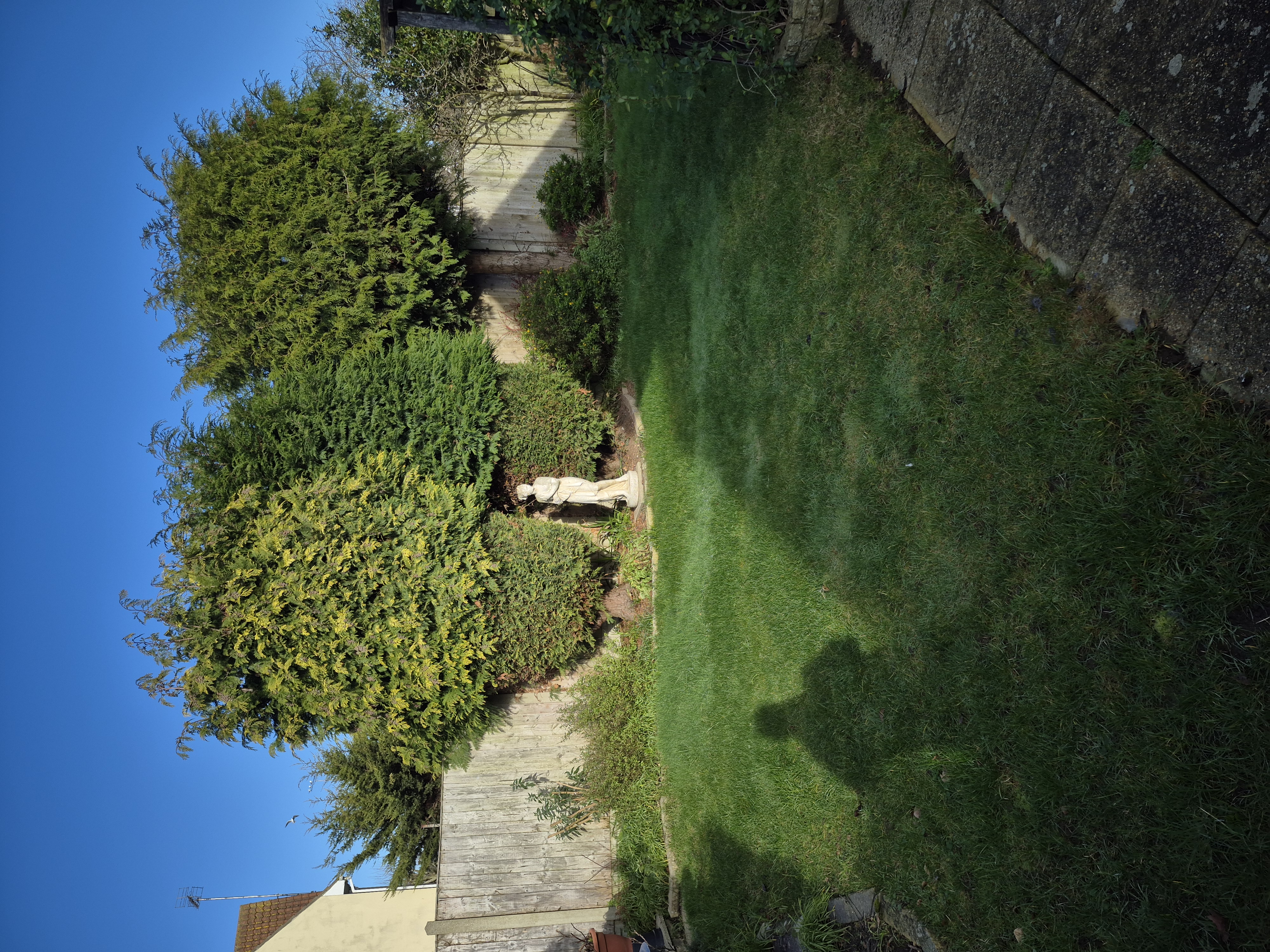 image-14