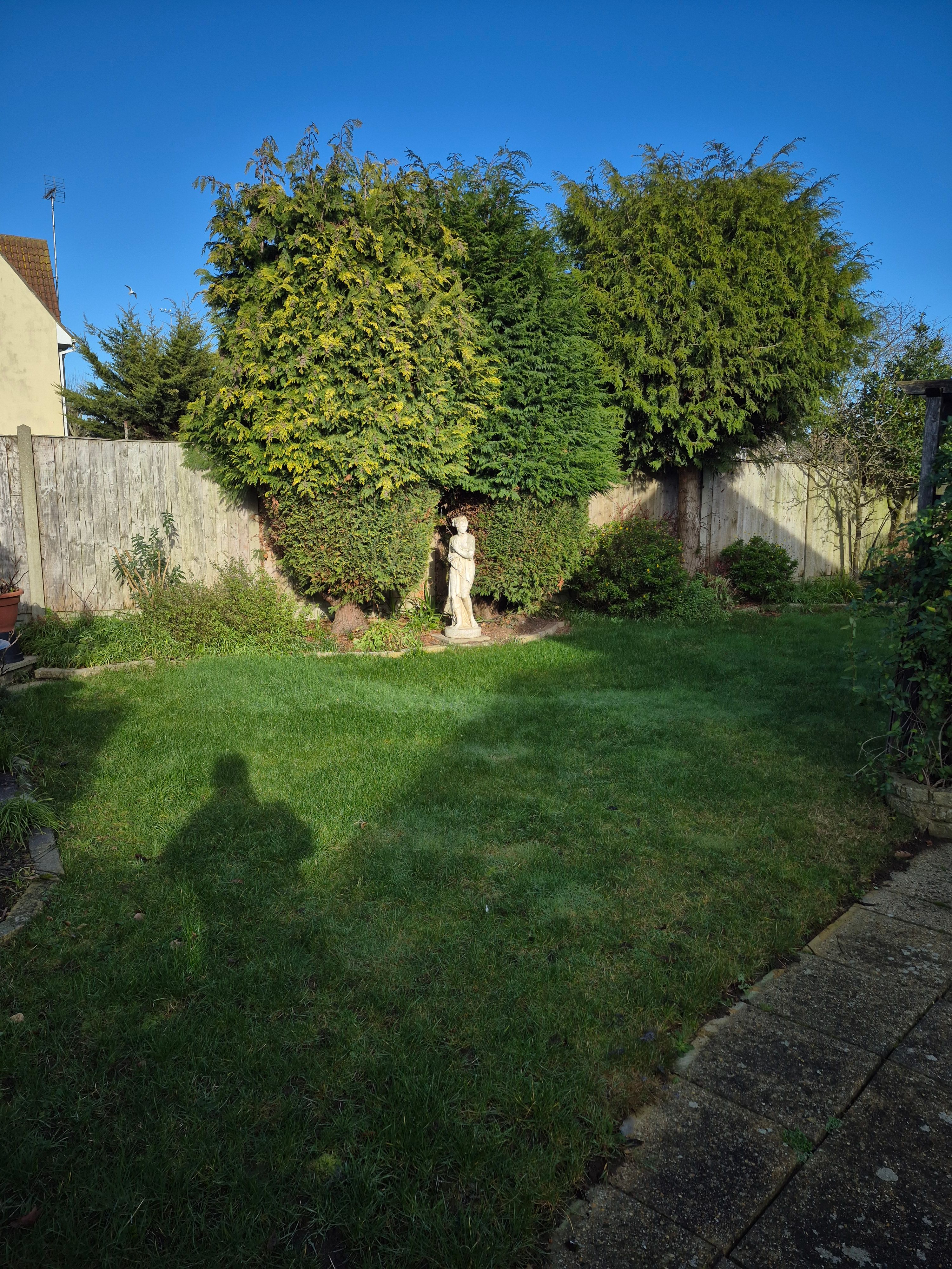 image-14
