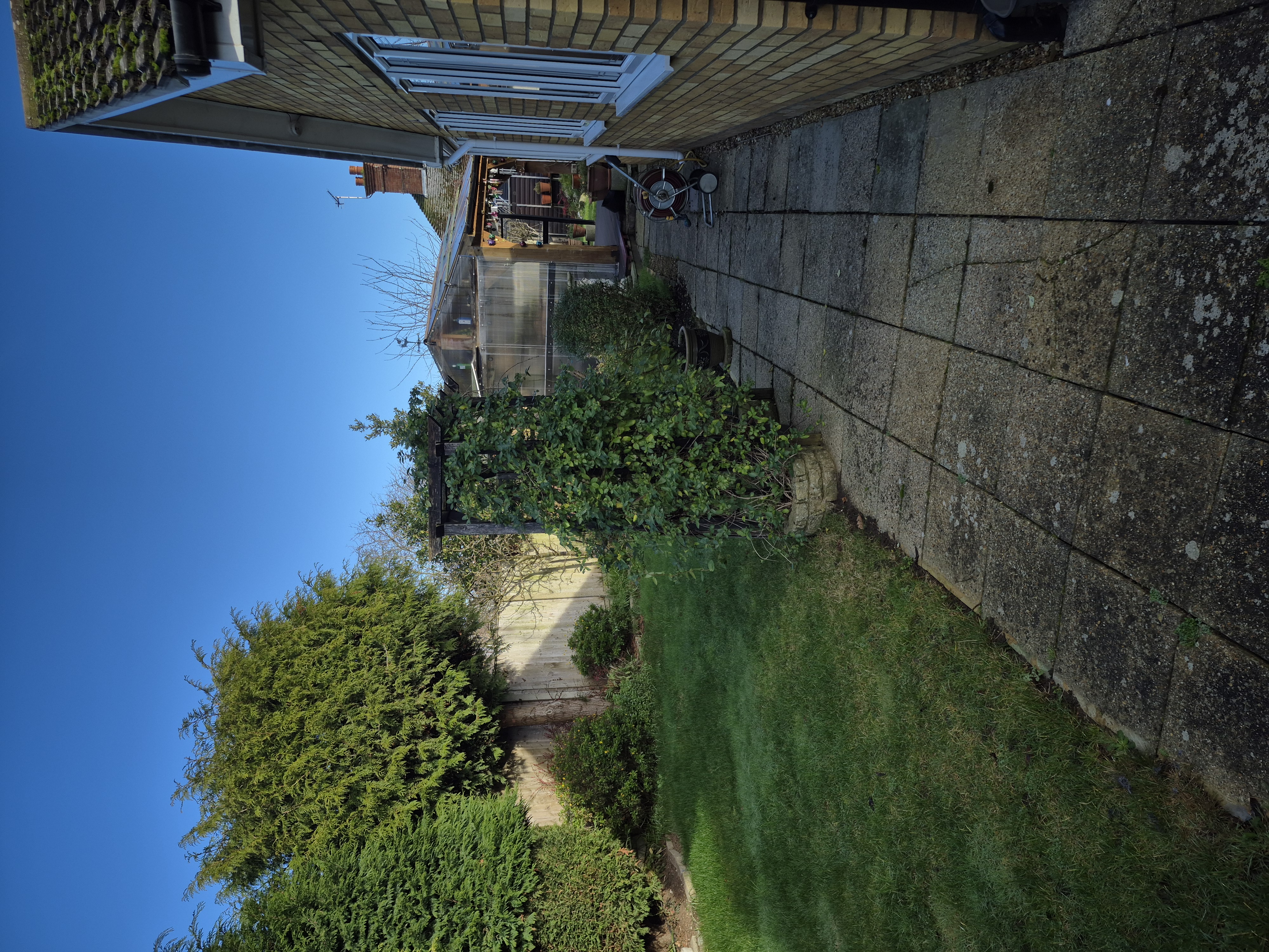 image-13
