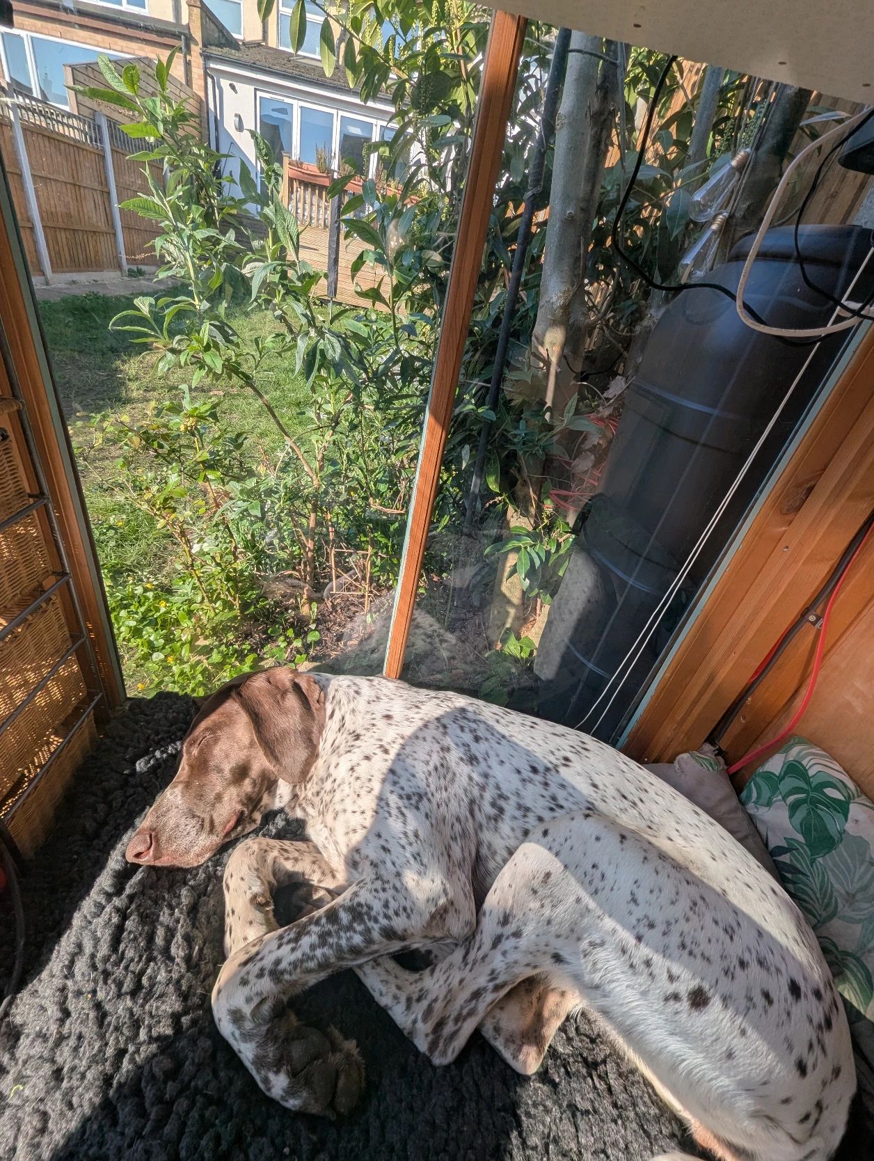 image-11