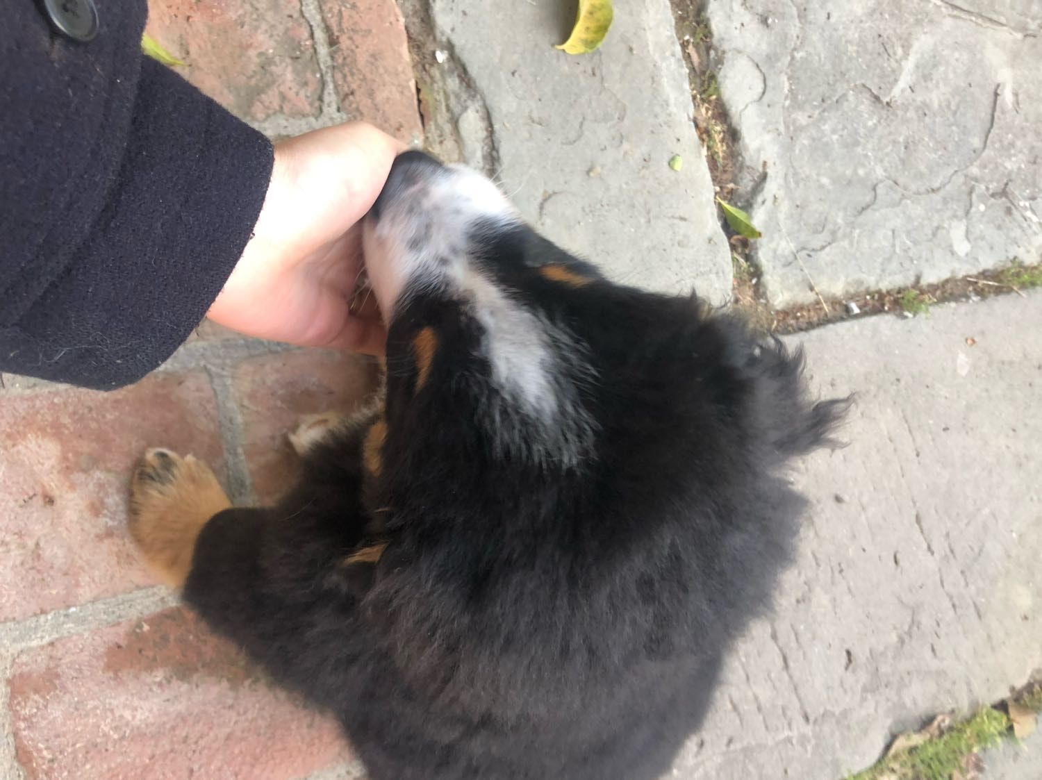 image-6