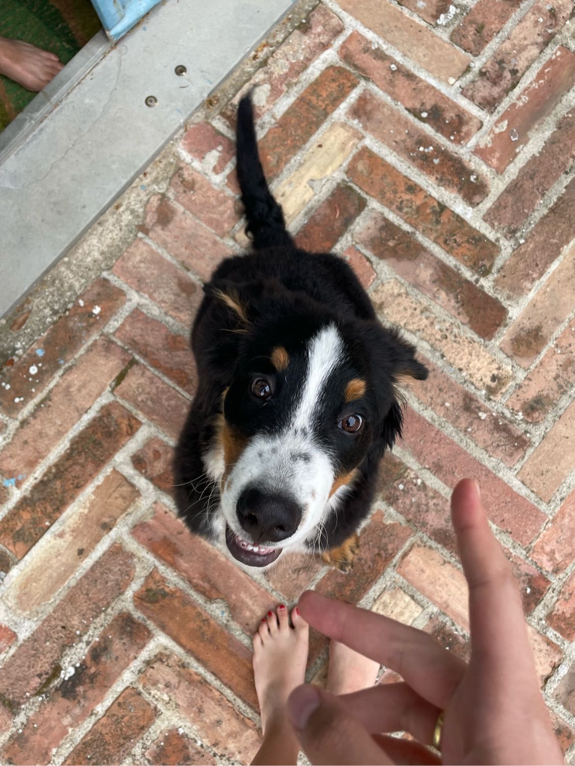 image-1