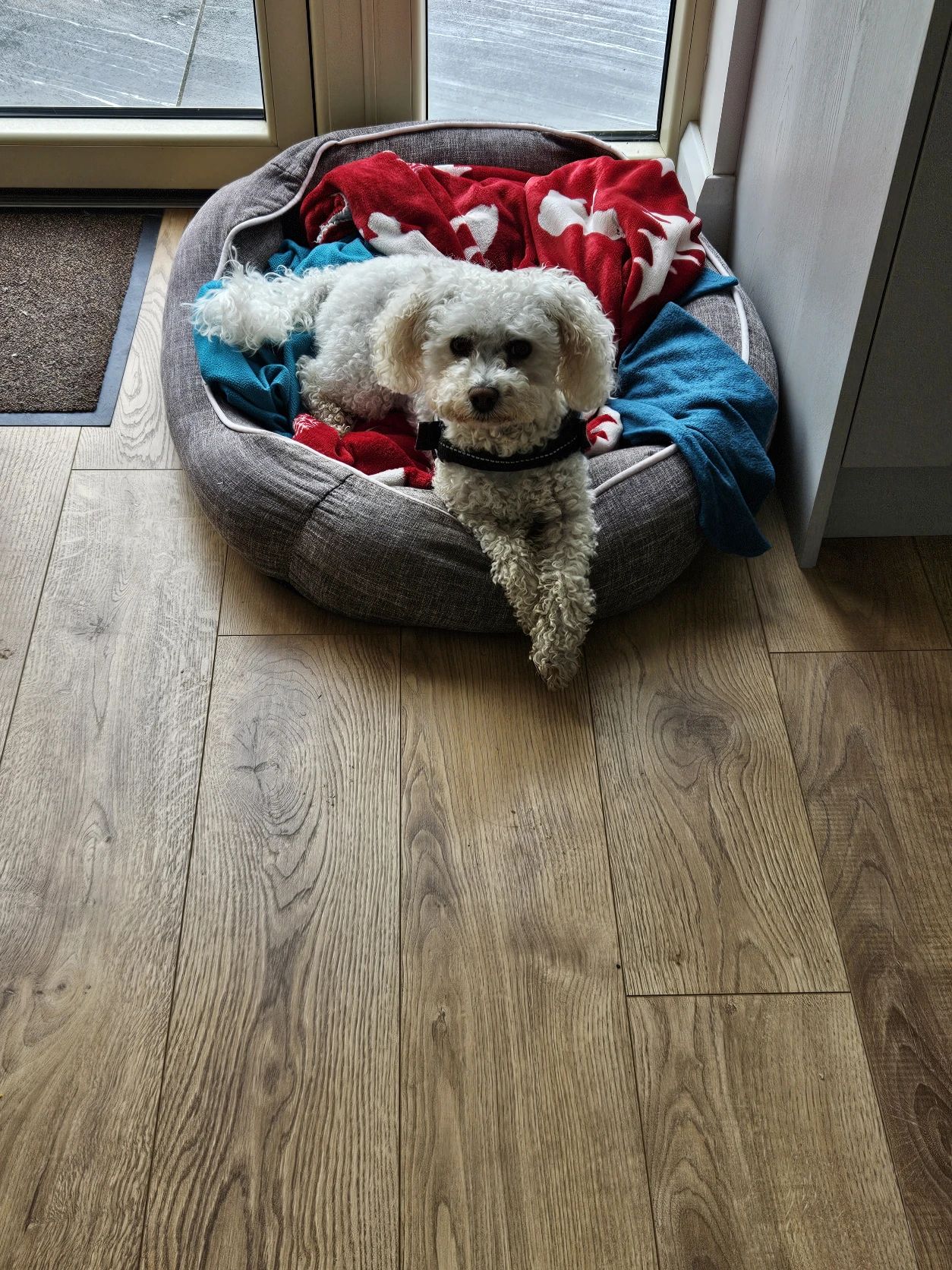 image-10