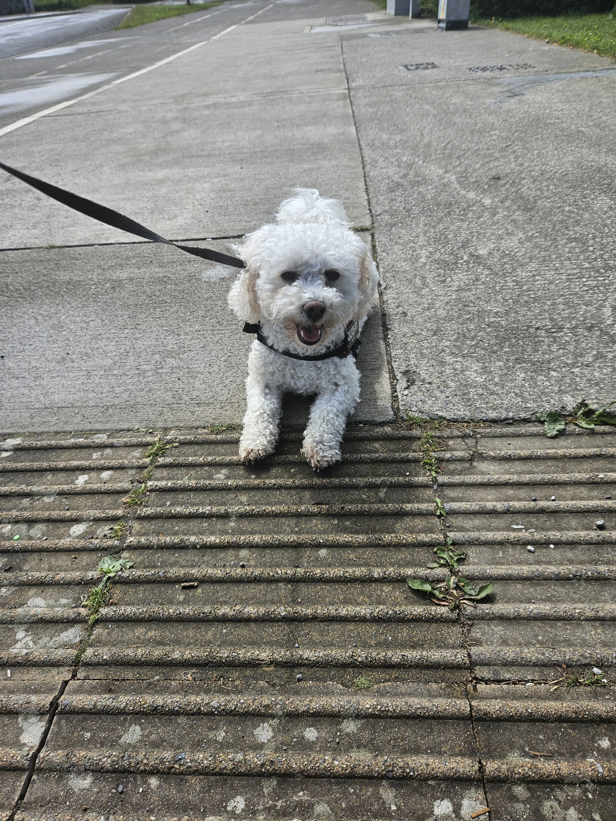 image-9
