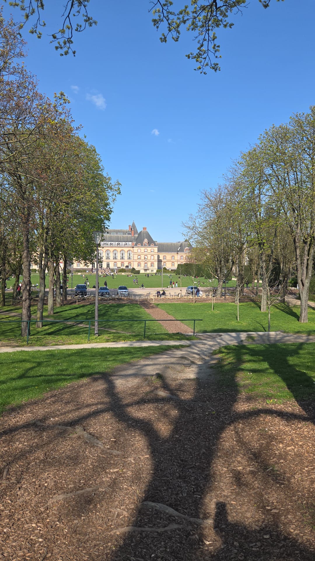 image-14