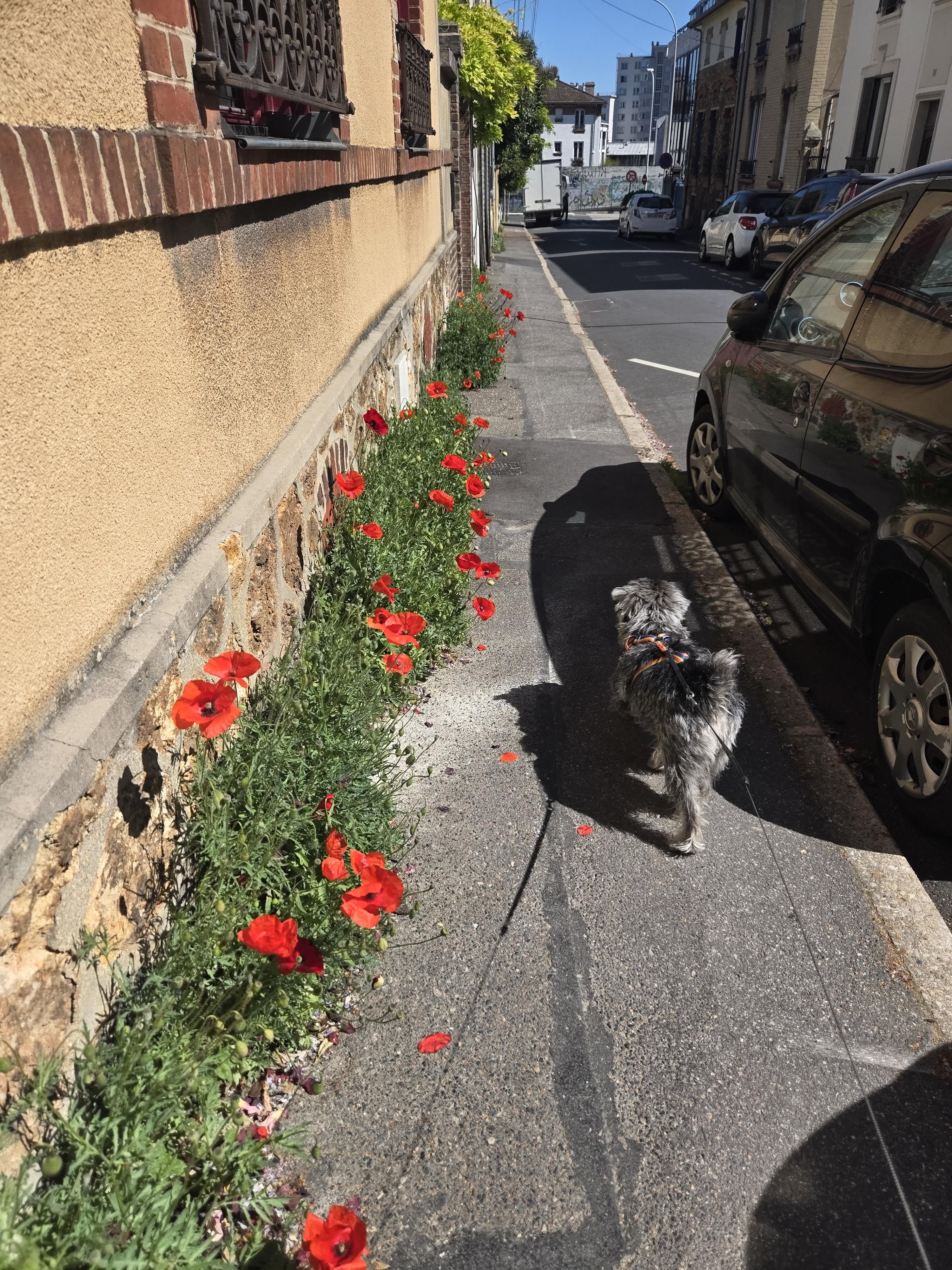 image-16