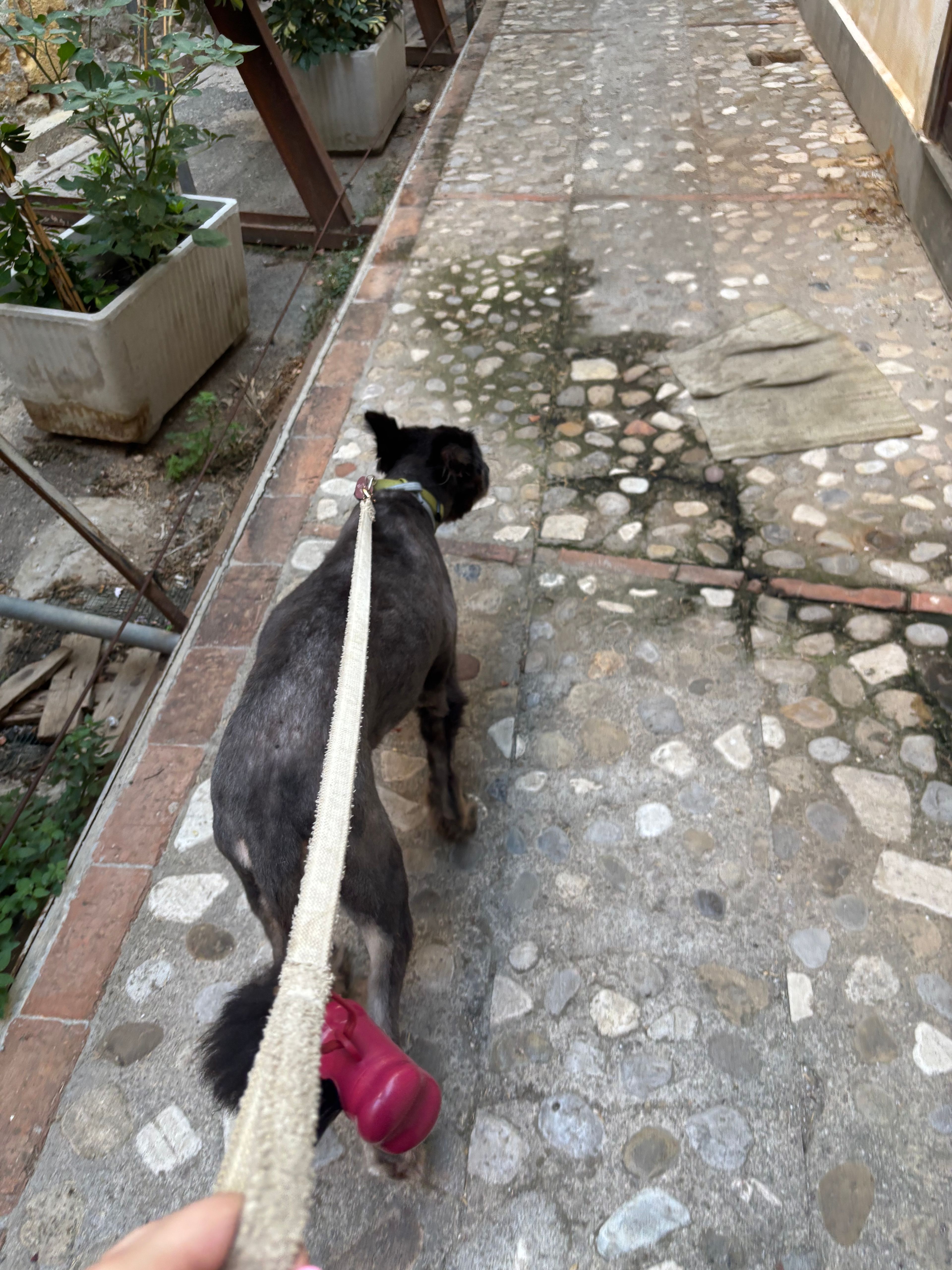 image-9