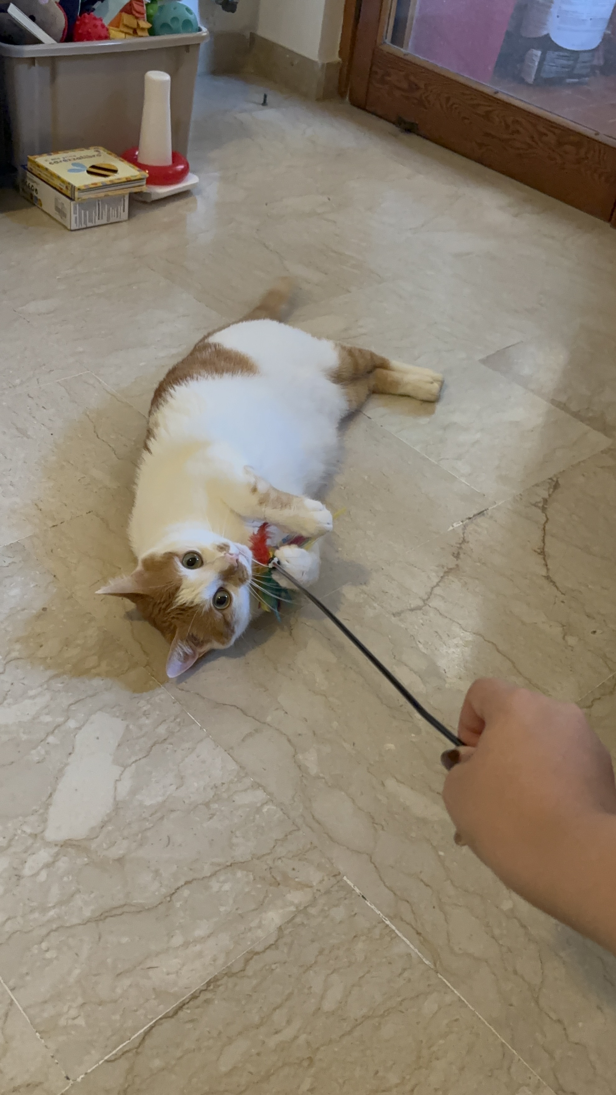image-11