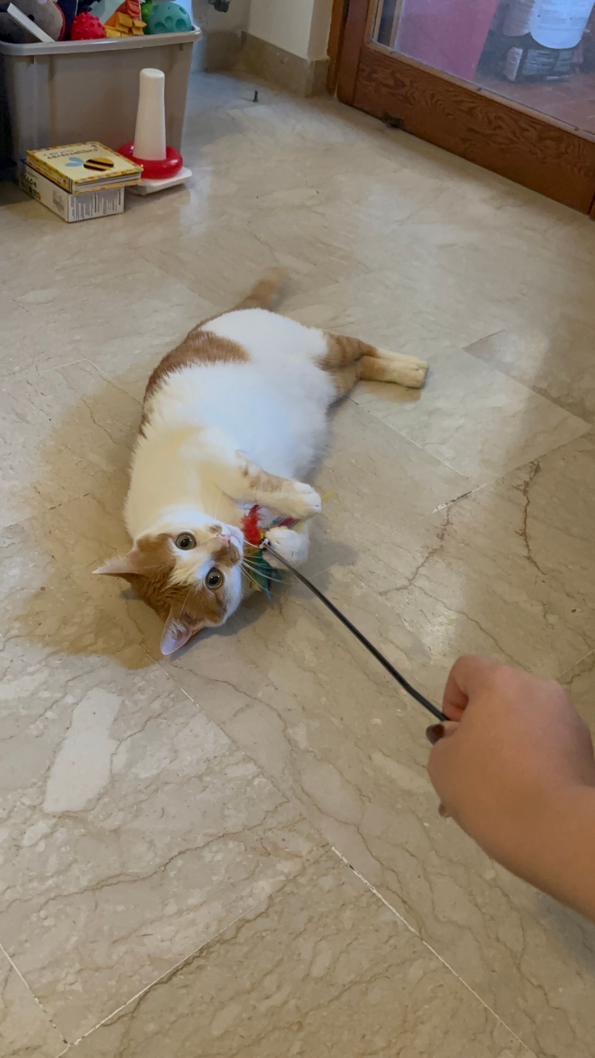 image-11