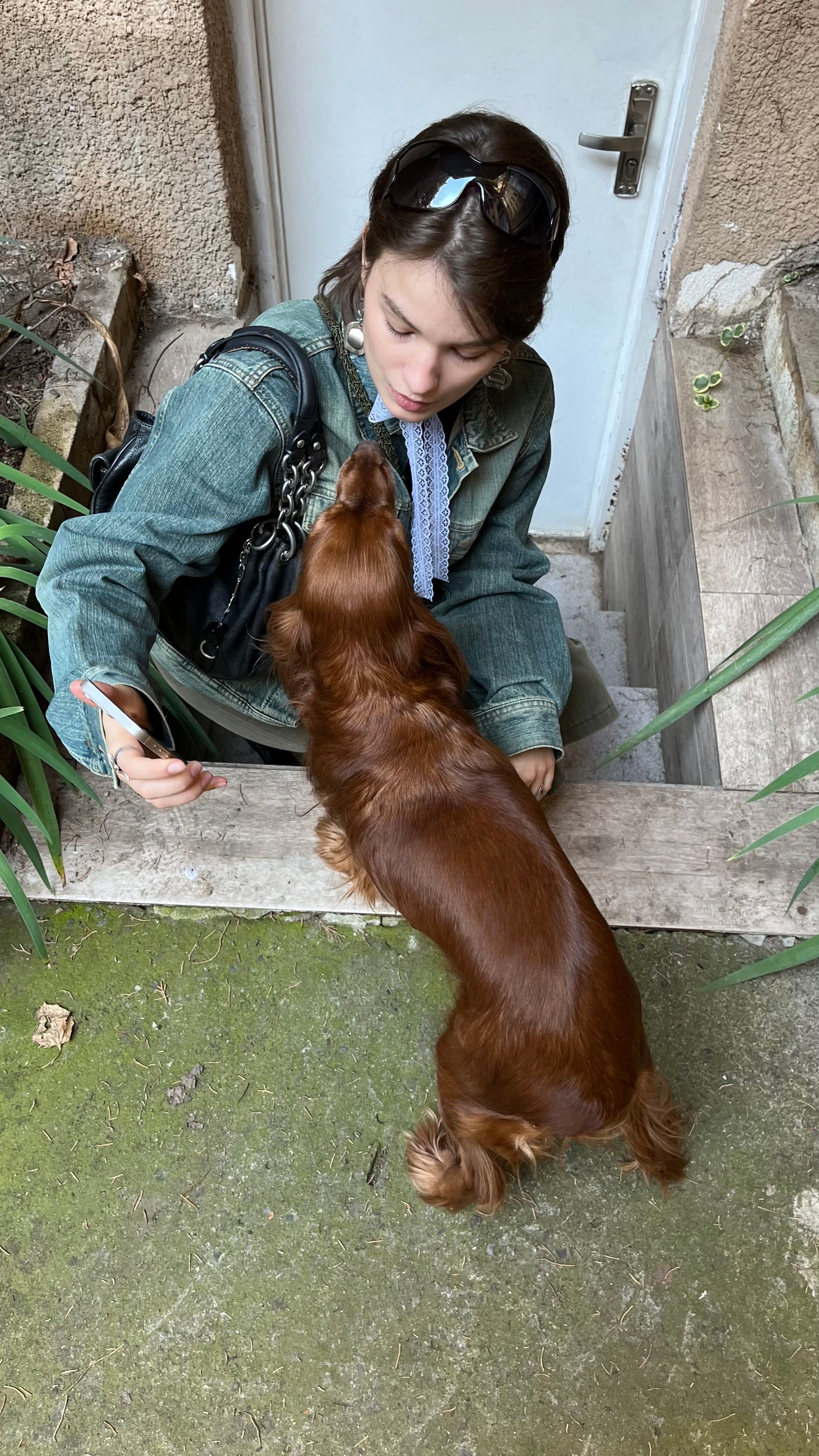 image-5