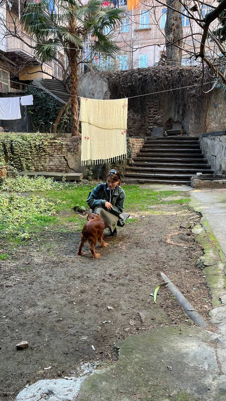 image-7