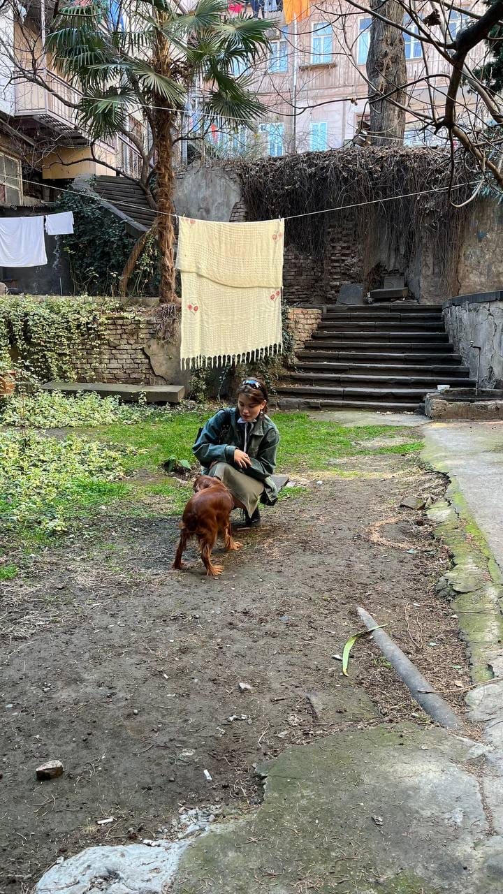 image-7
