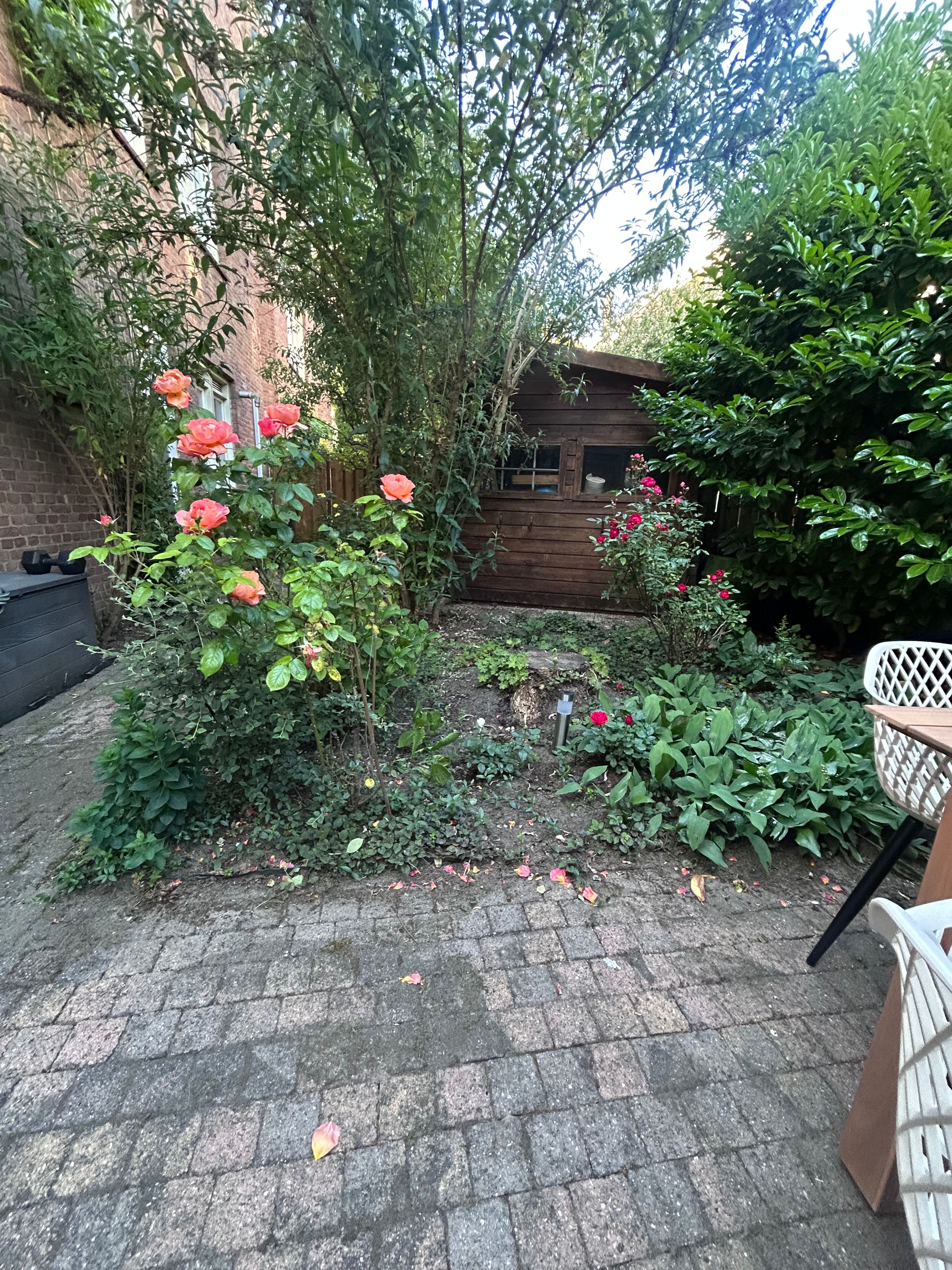 image-6