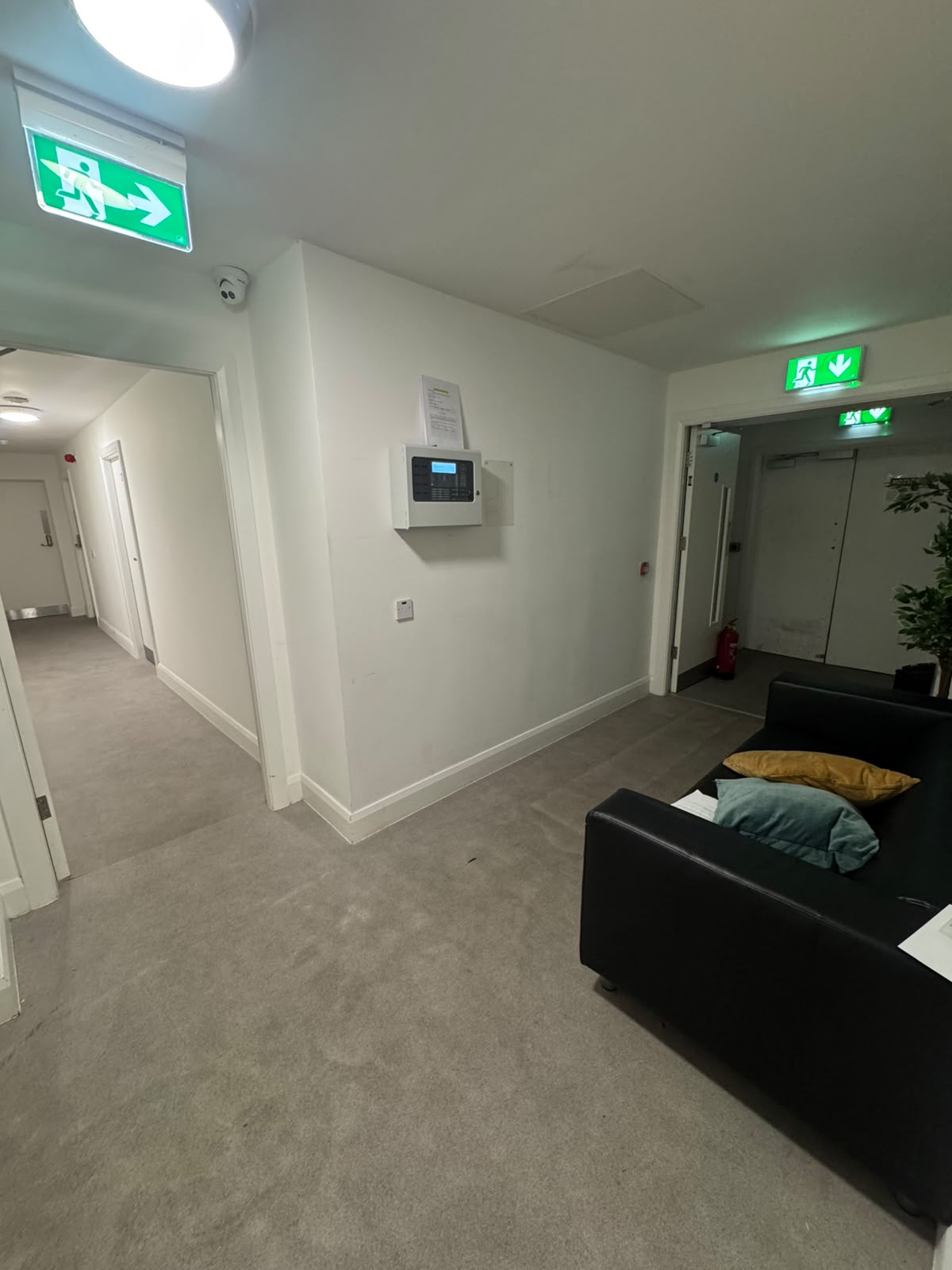 image-15