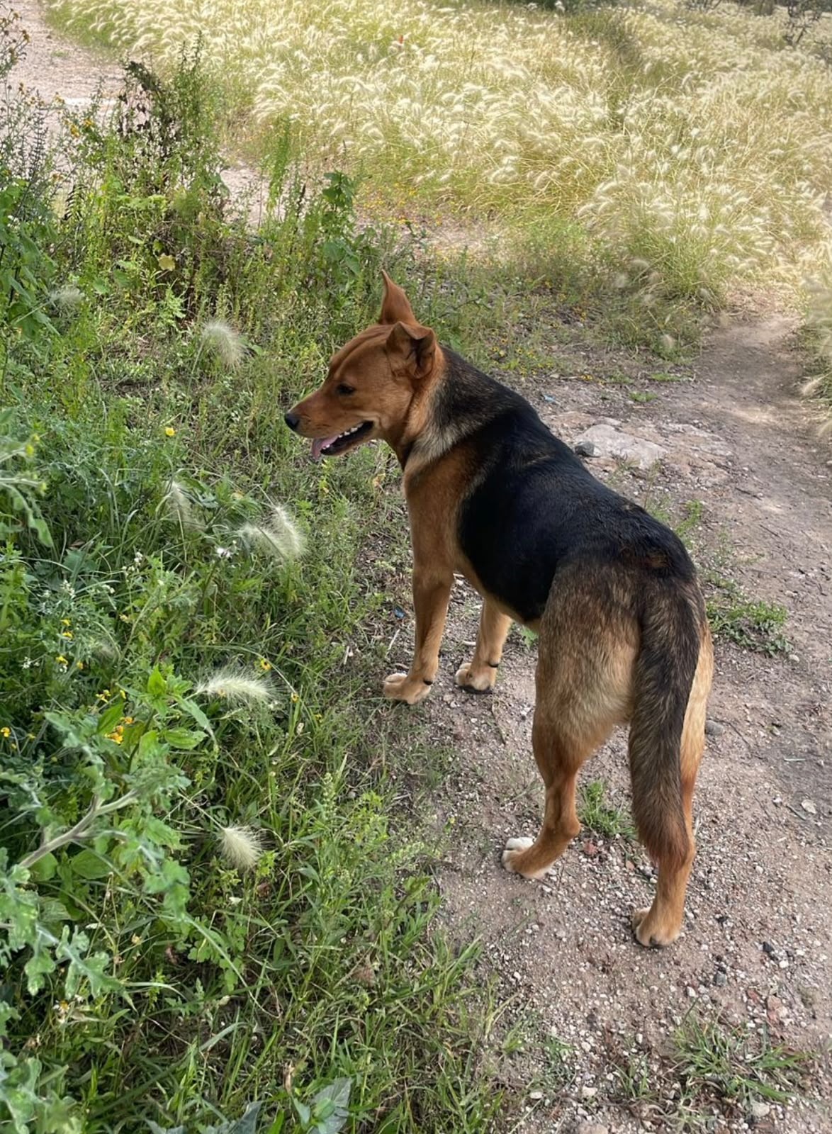 image-8