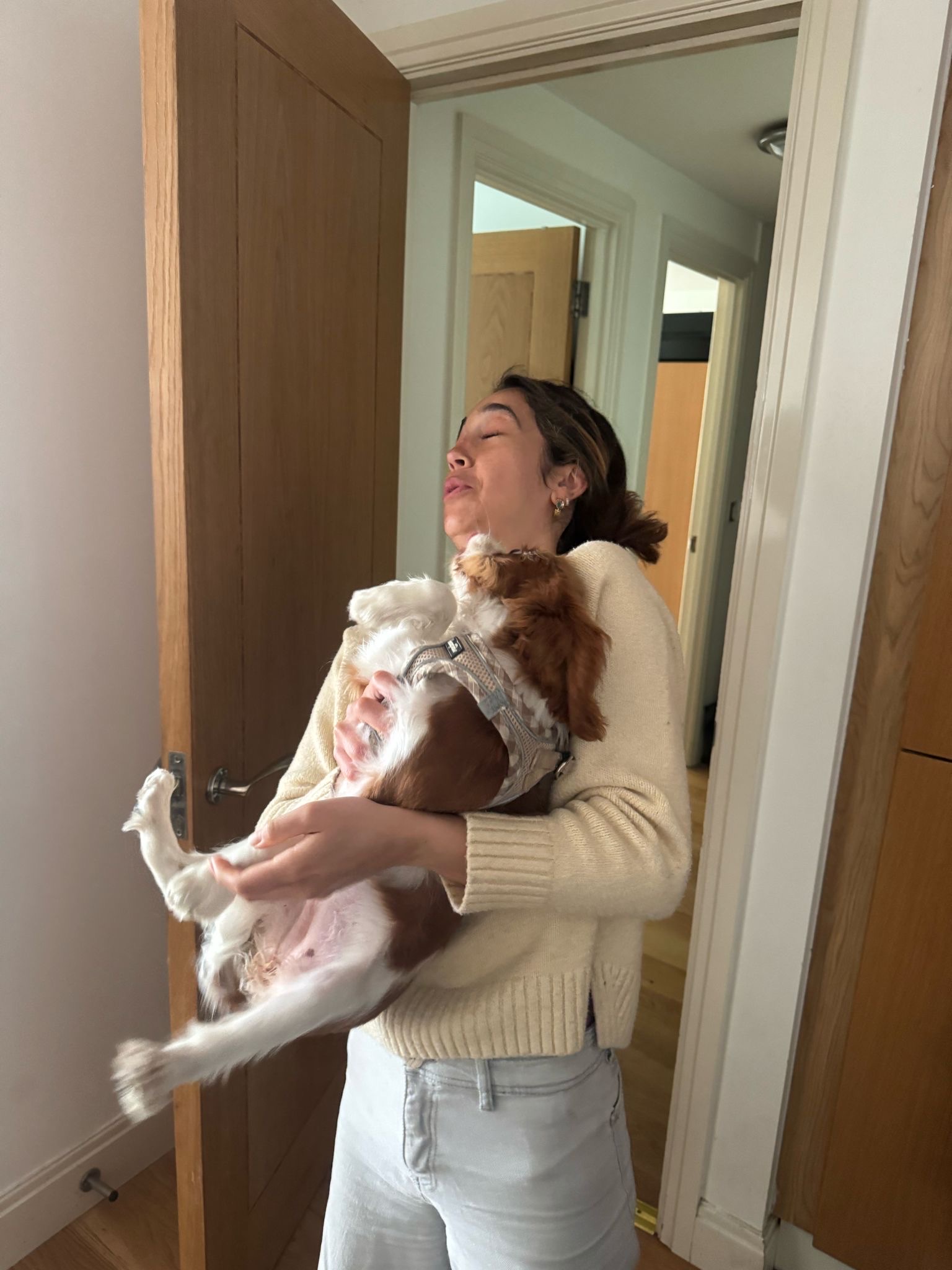 image-6