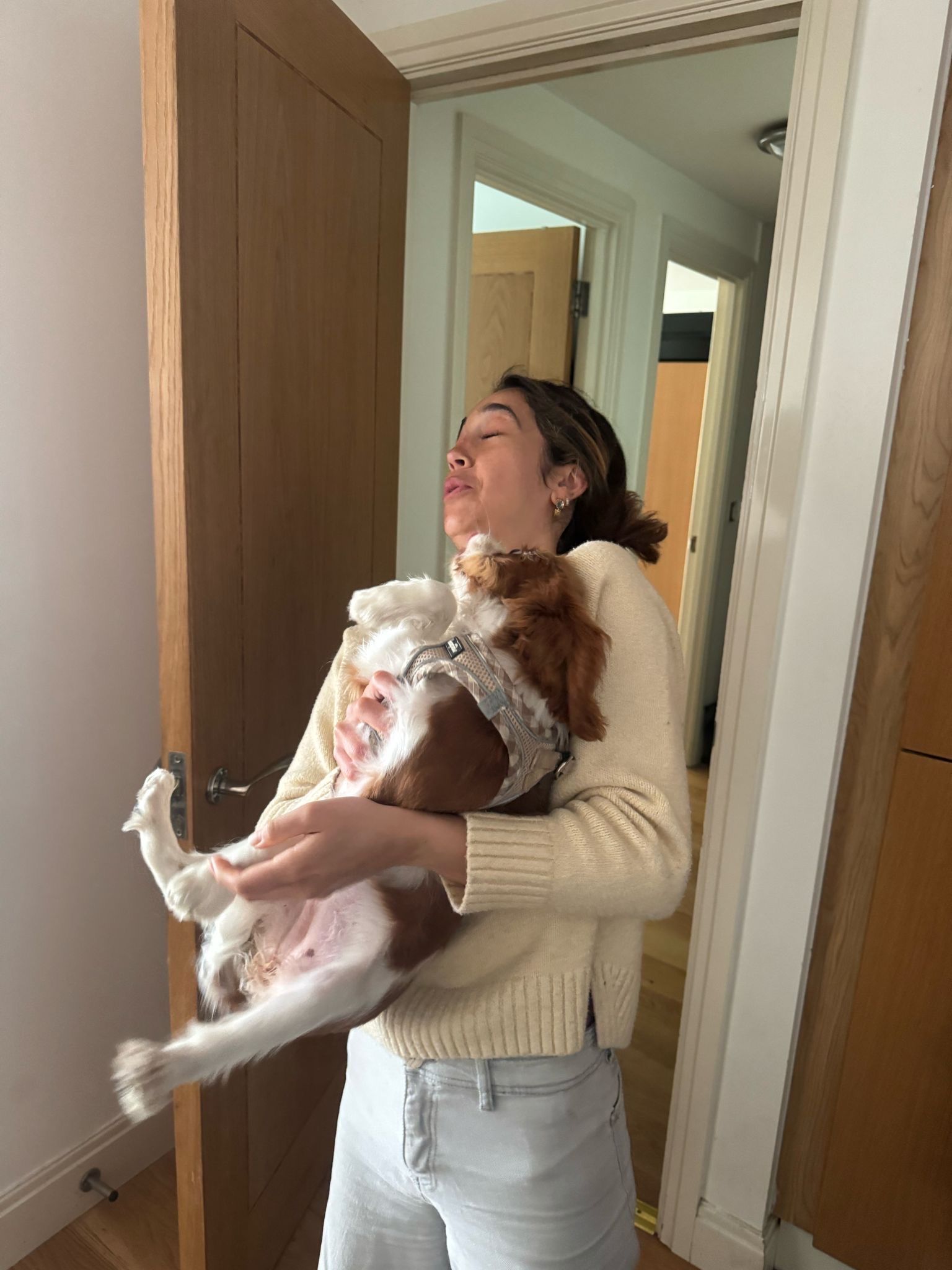 image-6