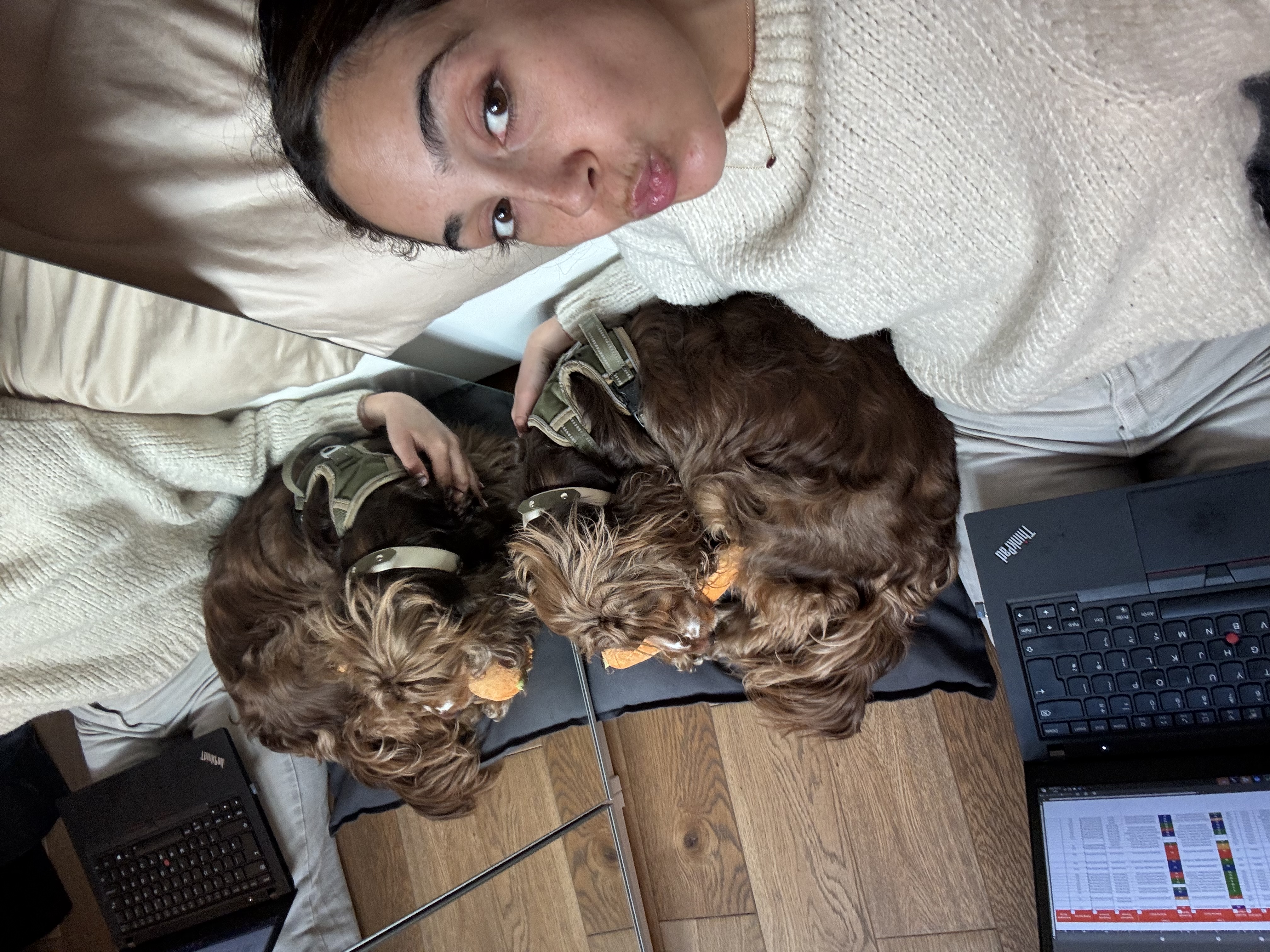 image-5