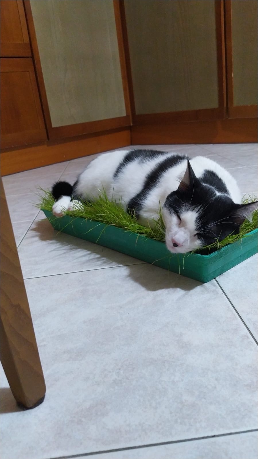 image-5