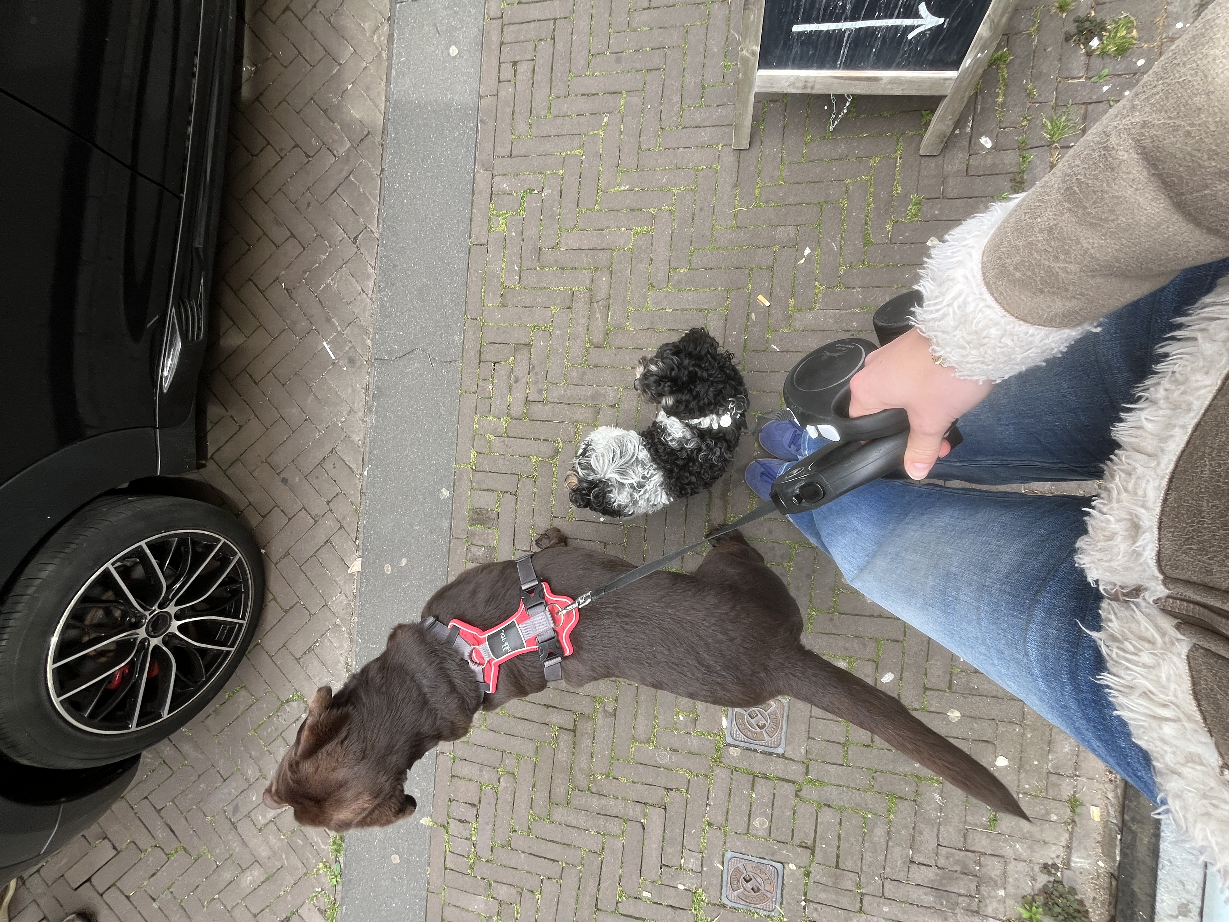 image-7