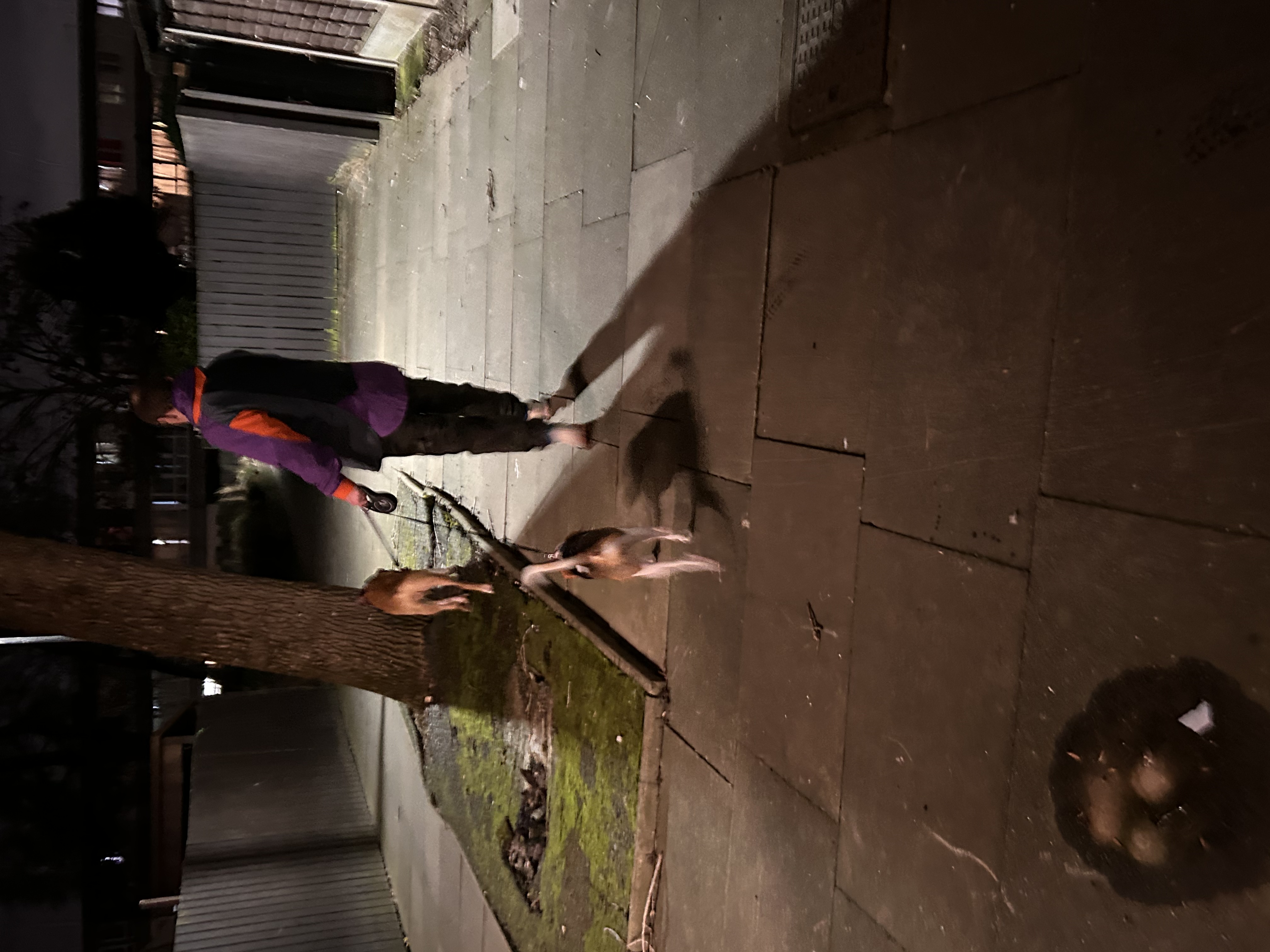 image-7