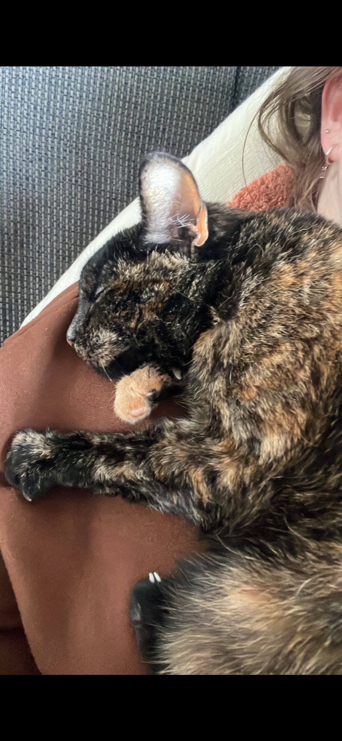 image-14