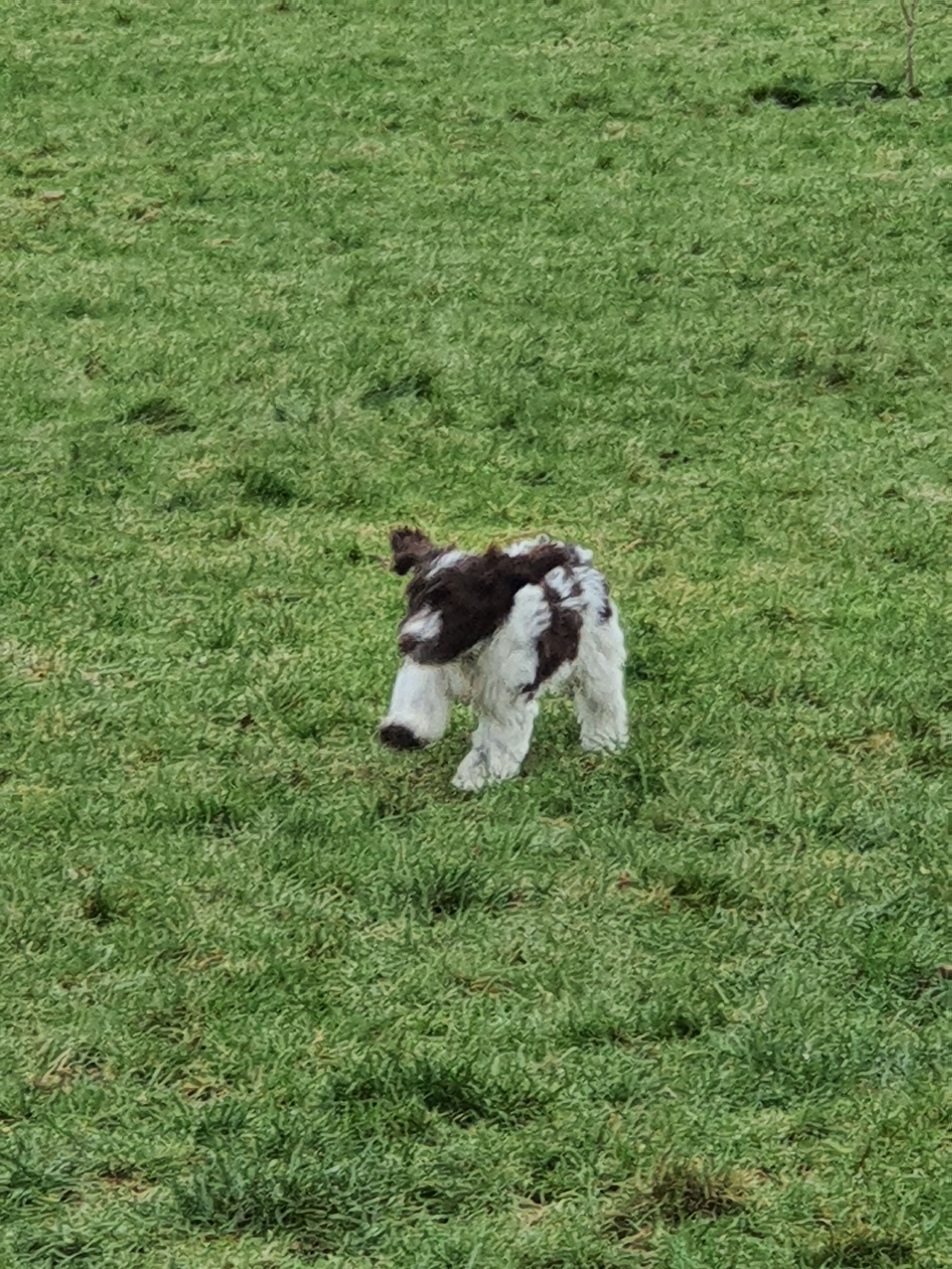 image-8