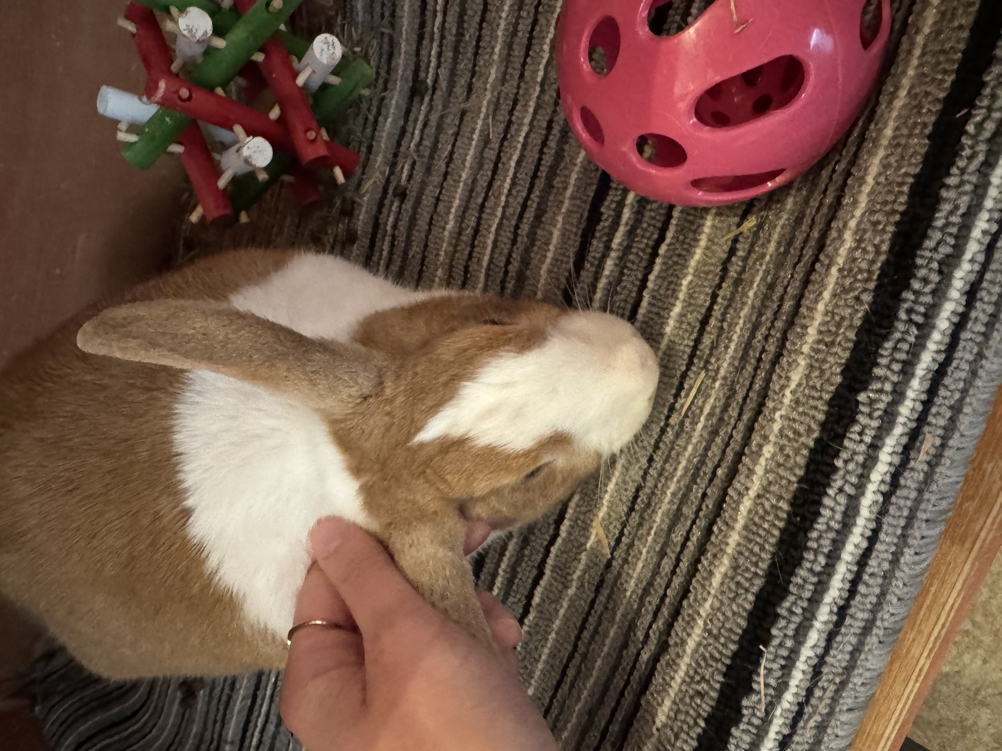 image-14