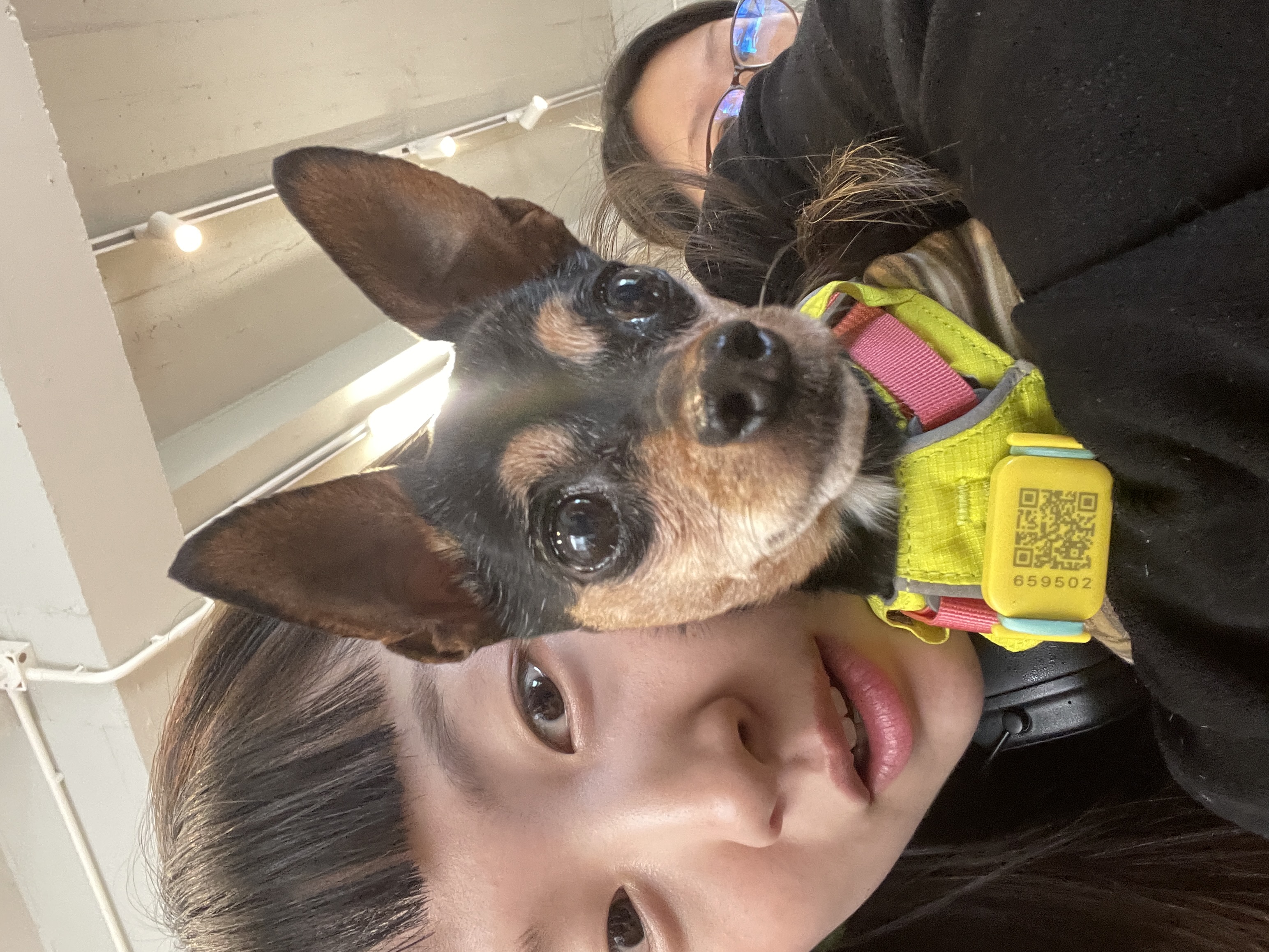 image-11