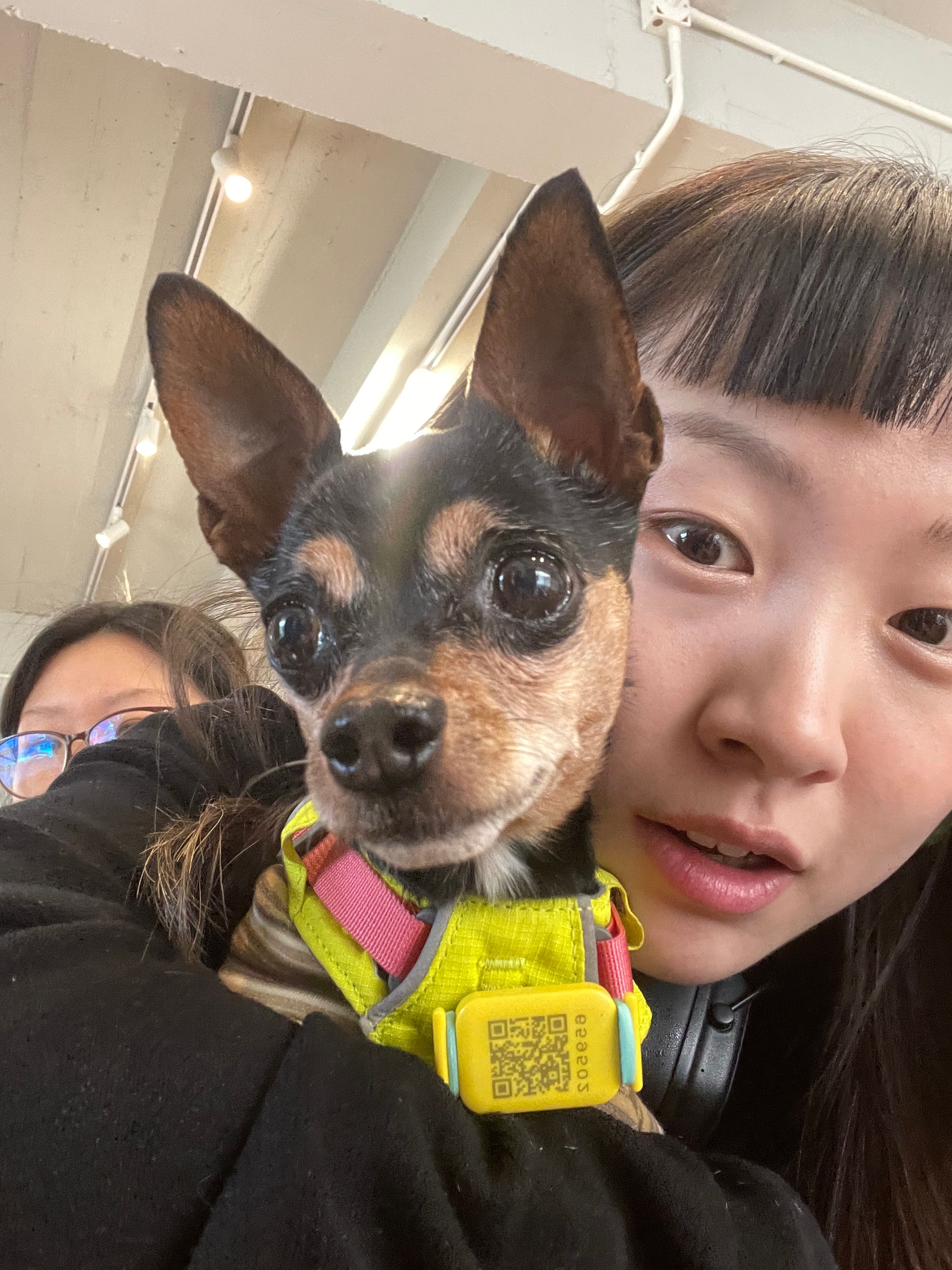 image-11