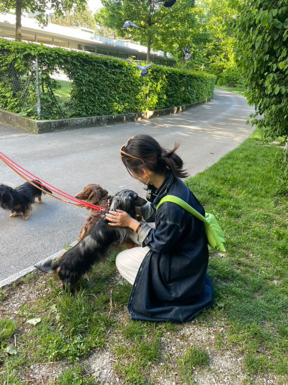 image-10