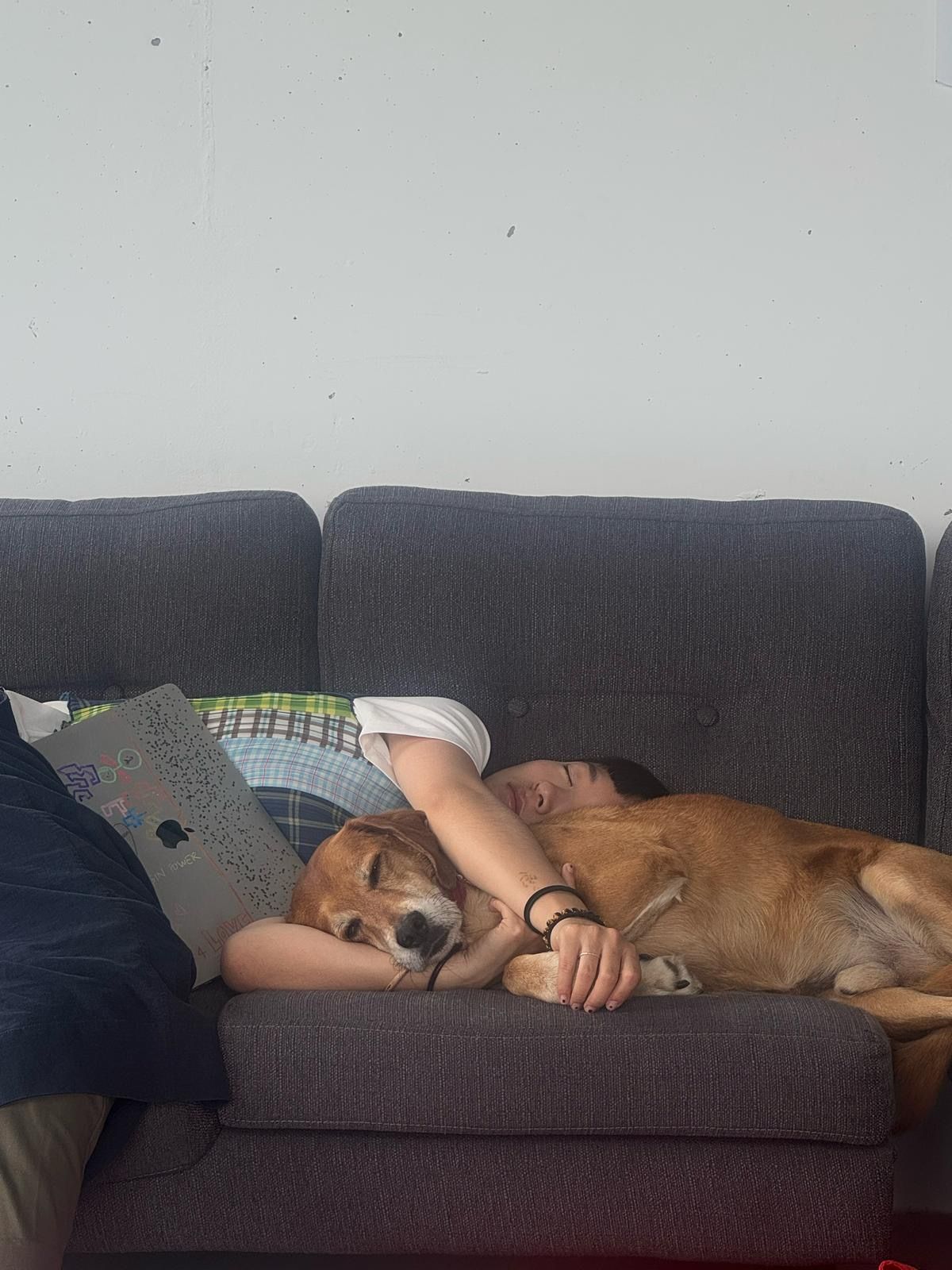 image-7