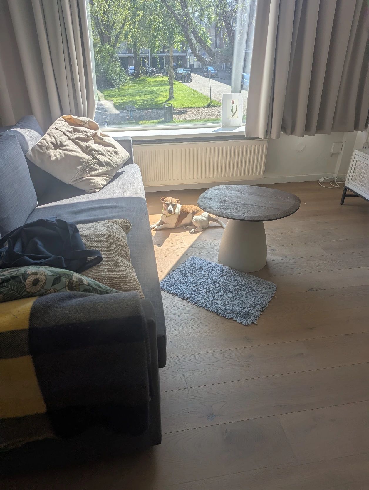 image-11