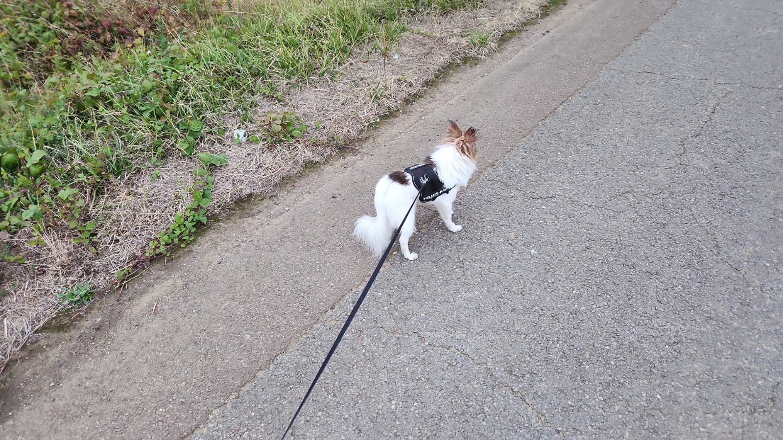 image-14