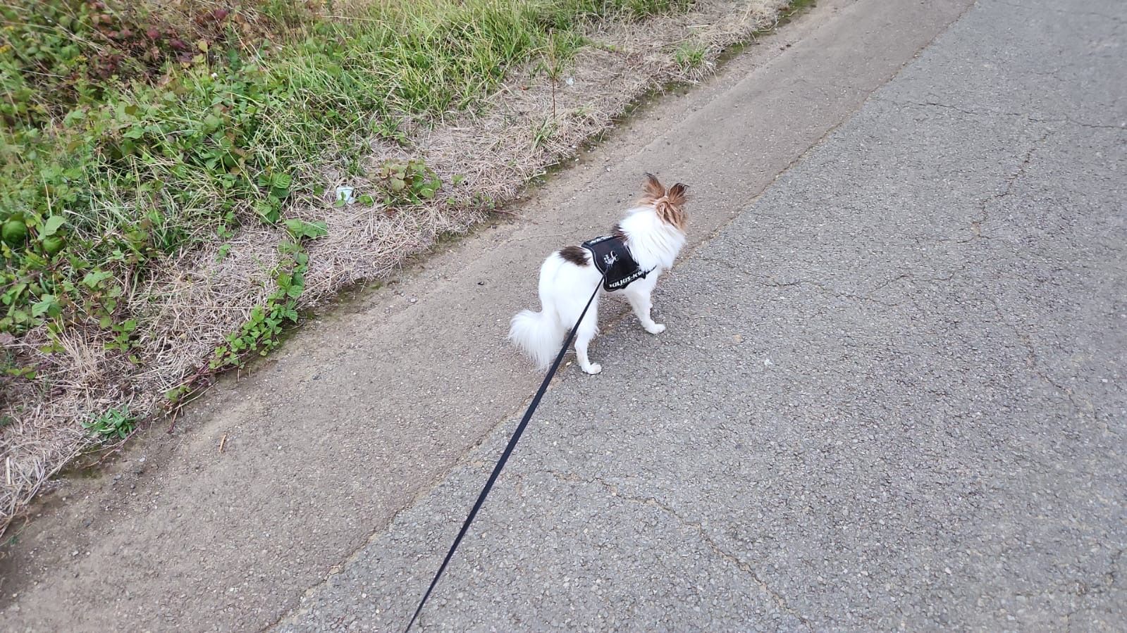 image-14