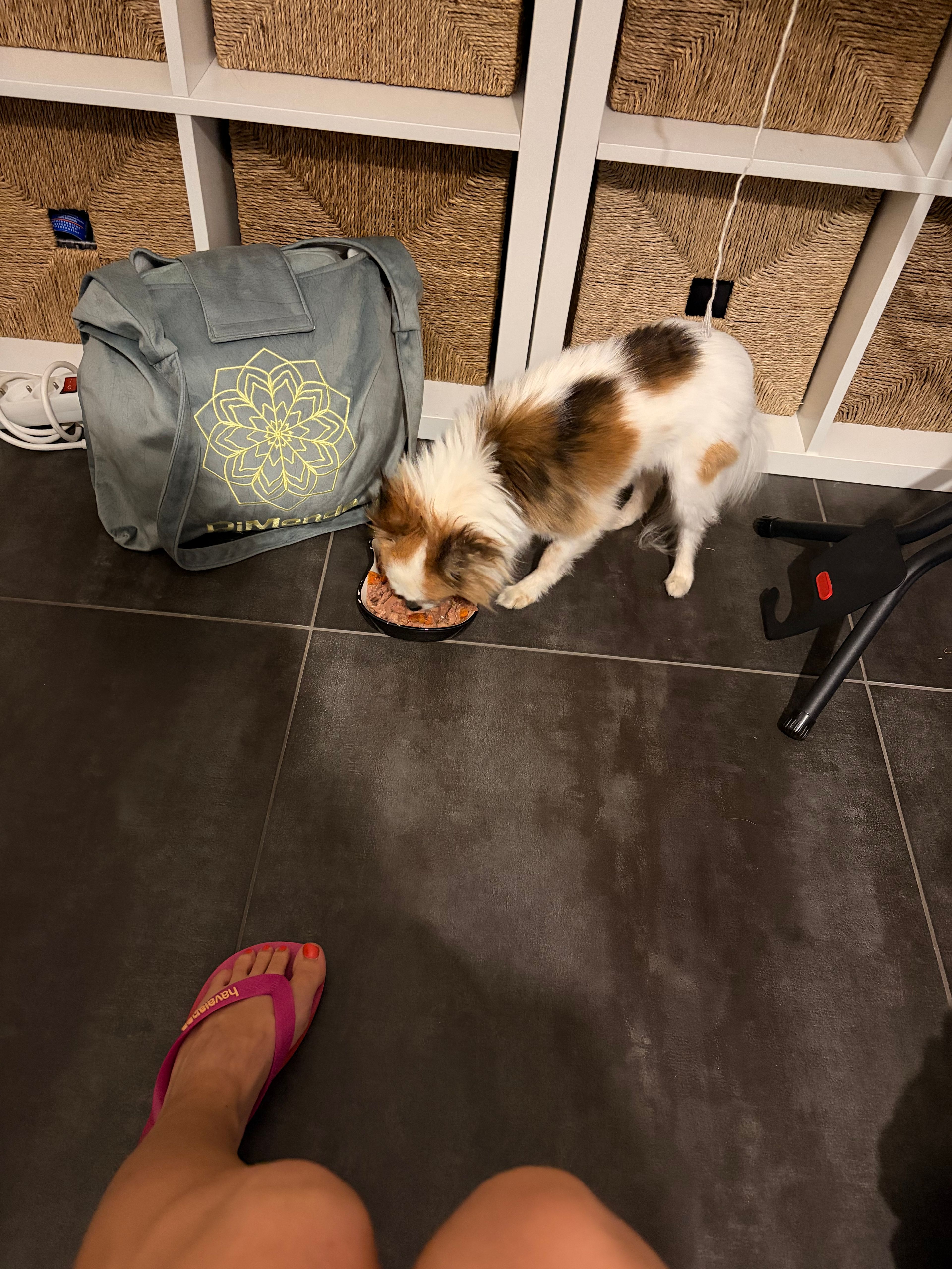 image-8