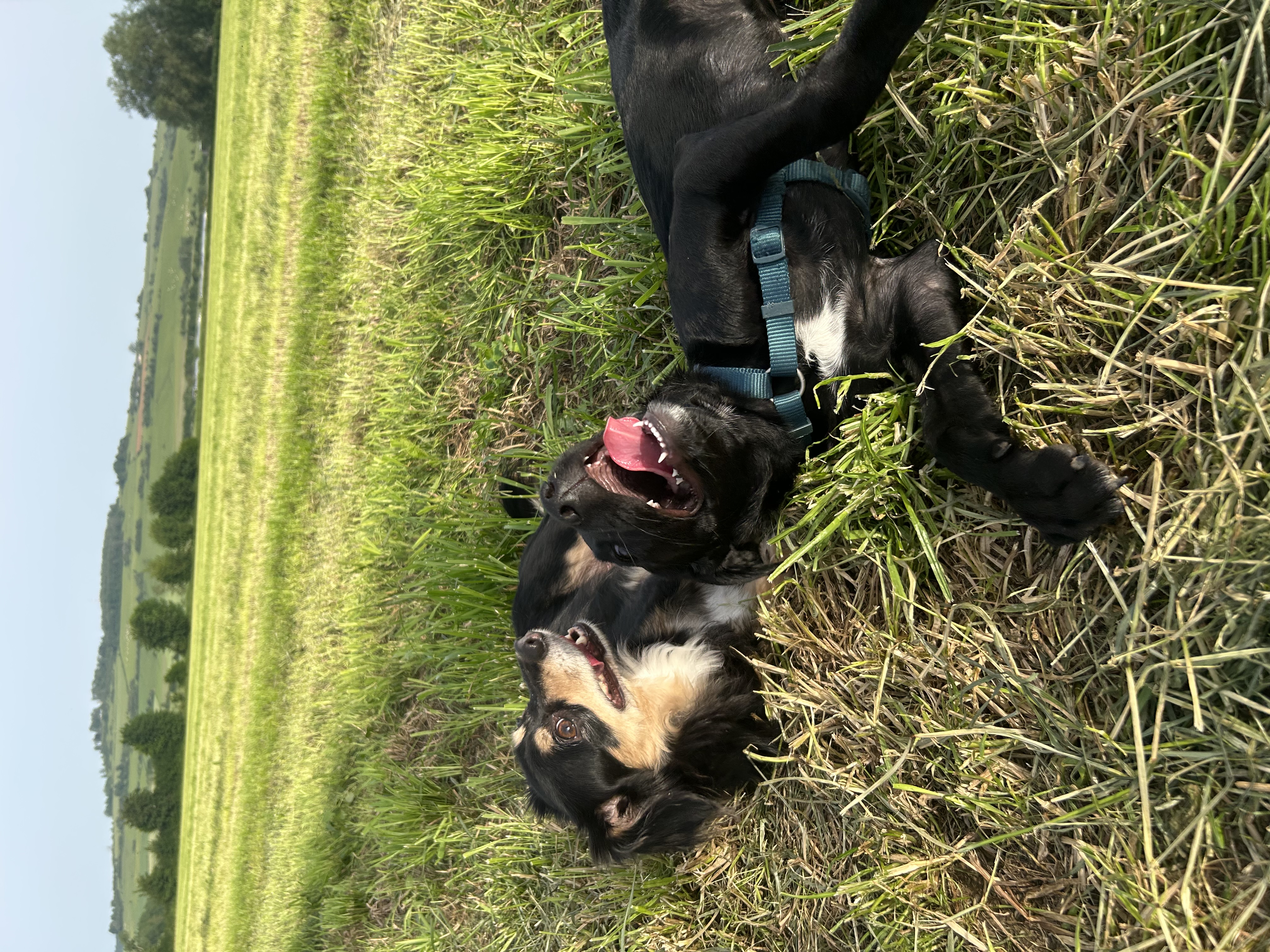 image-6