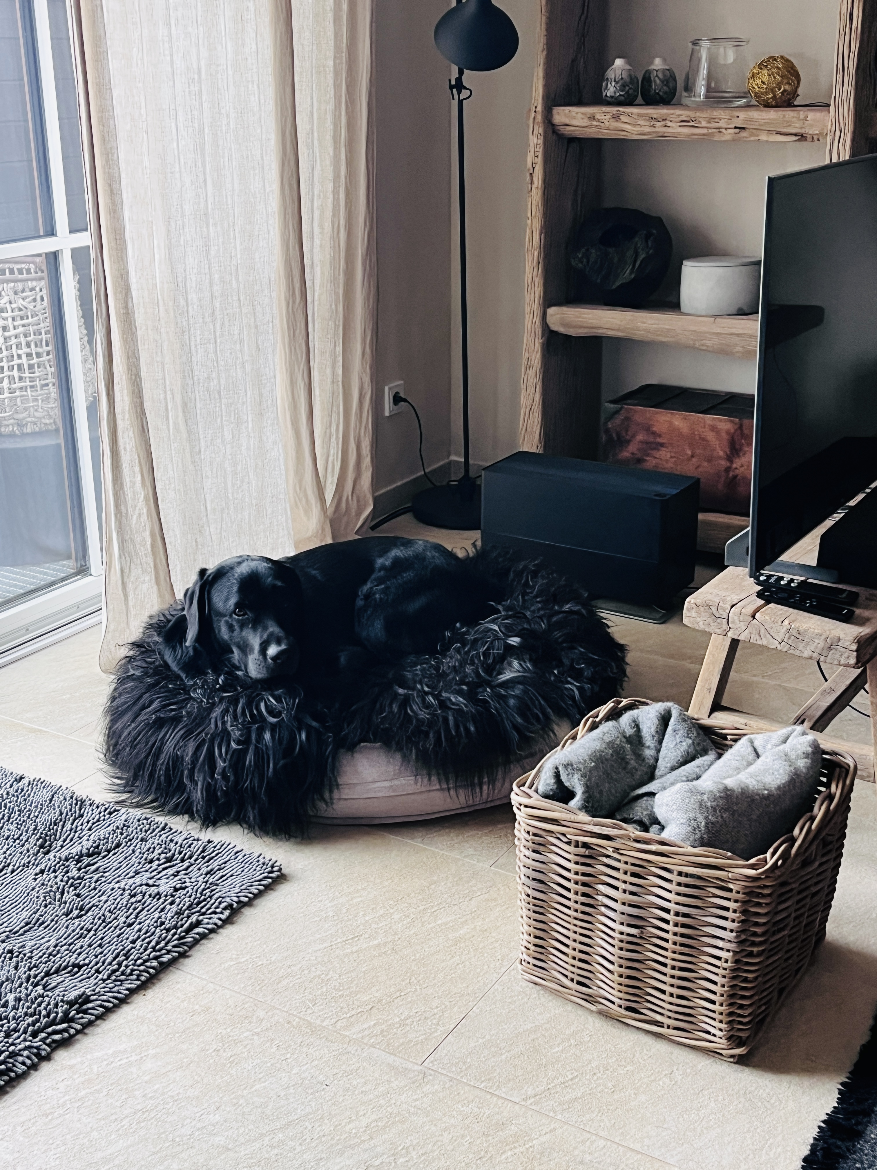 image-6