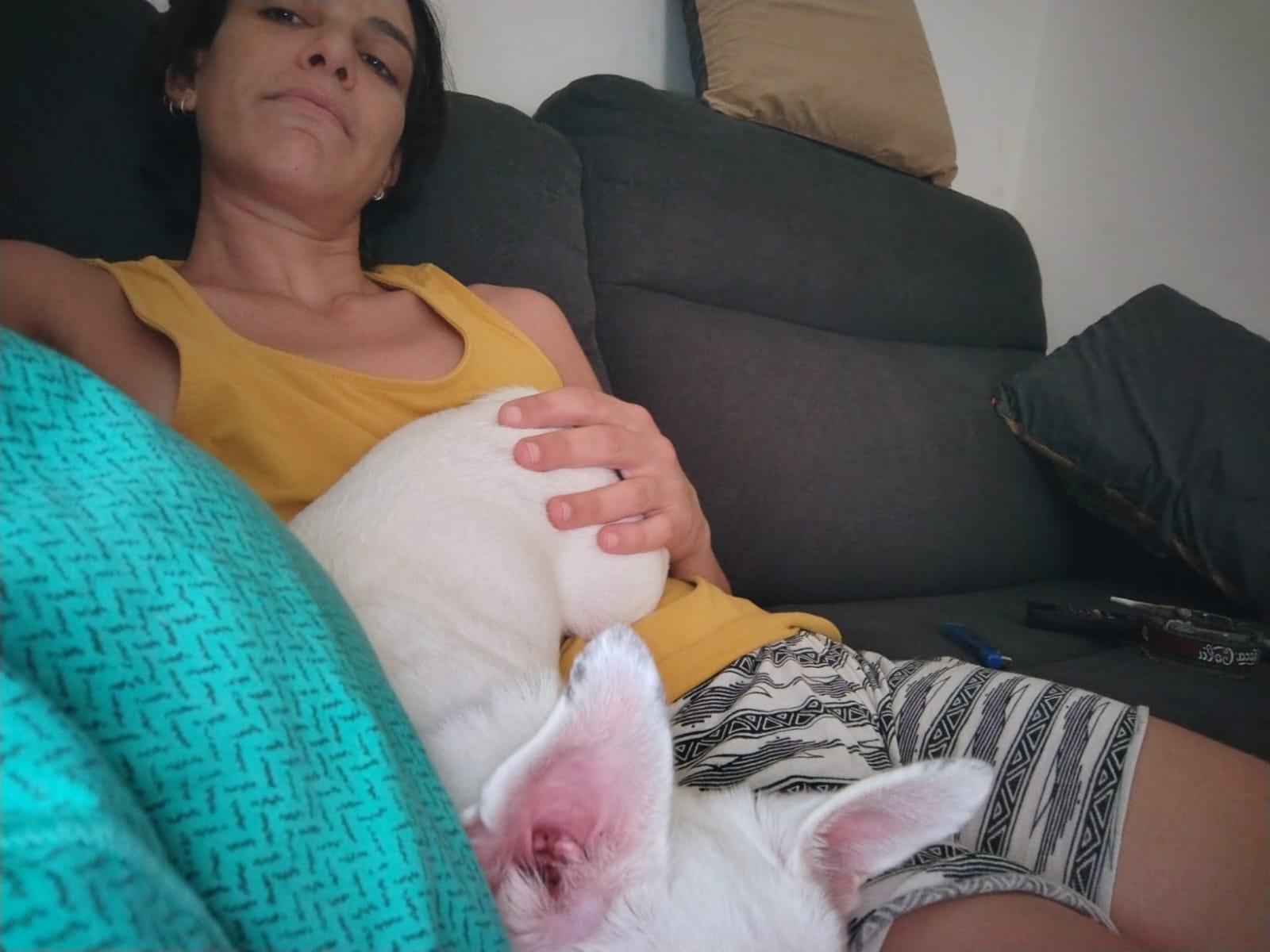 image-5