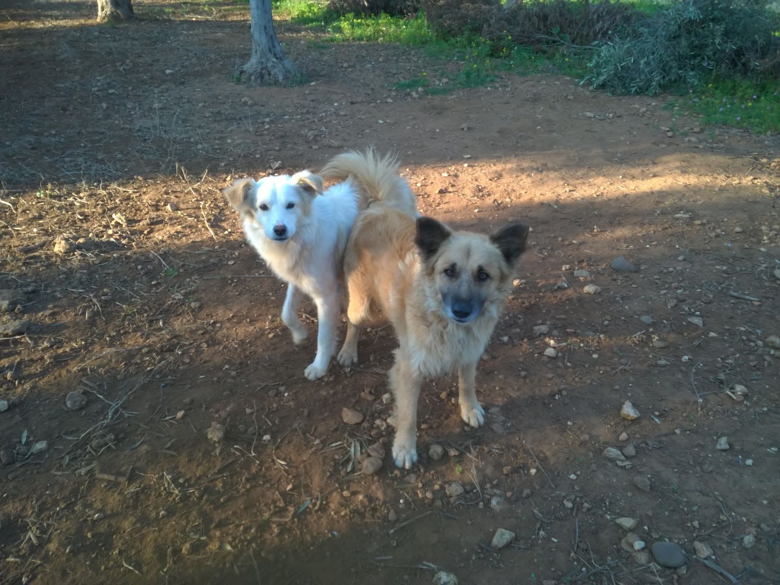 image-8