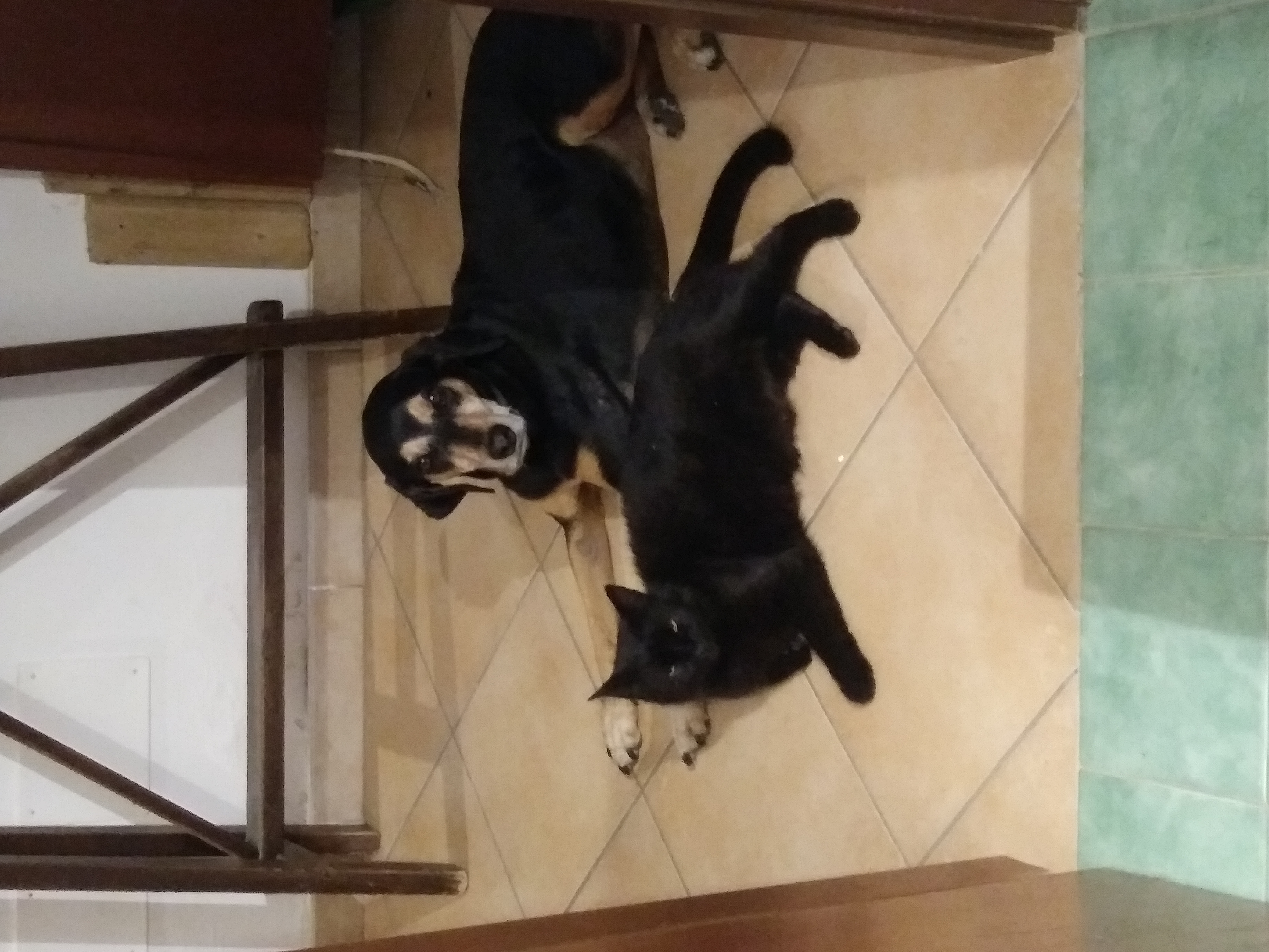 image-18