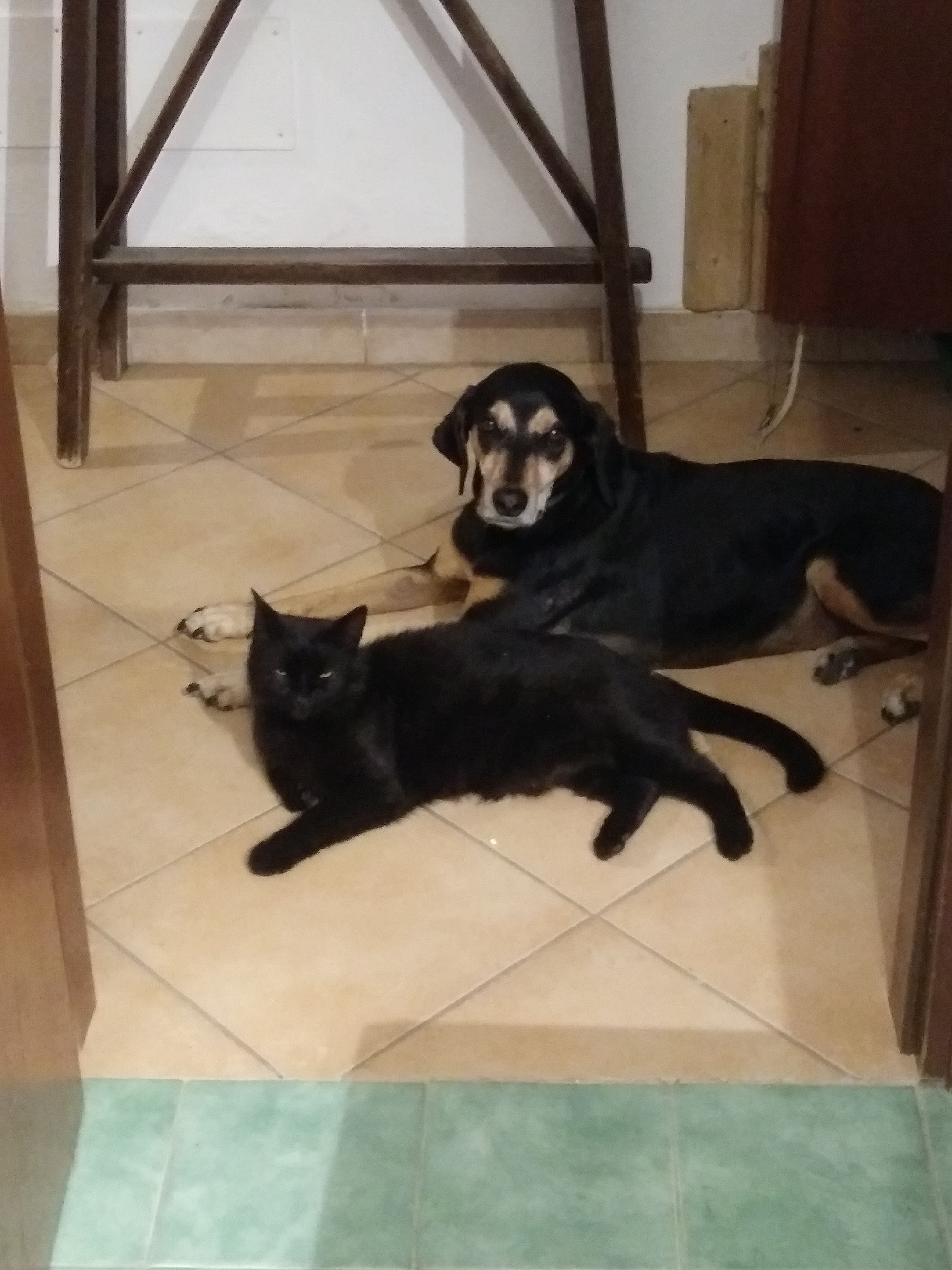 image-18