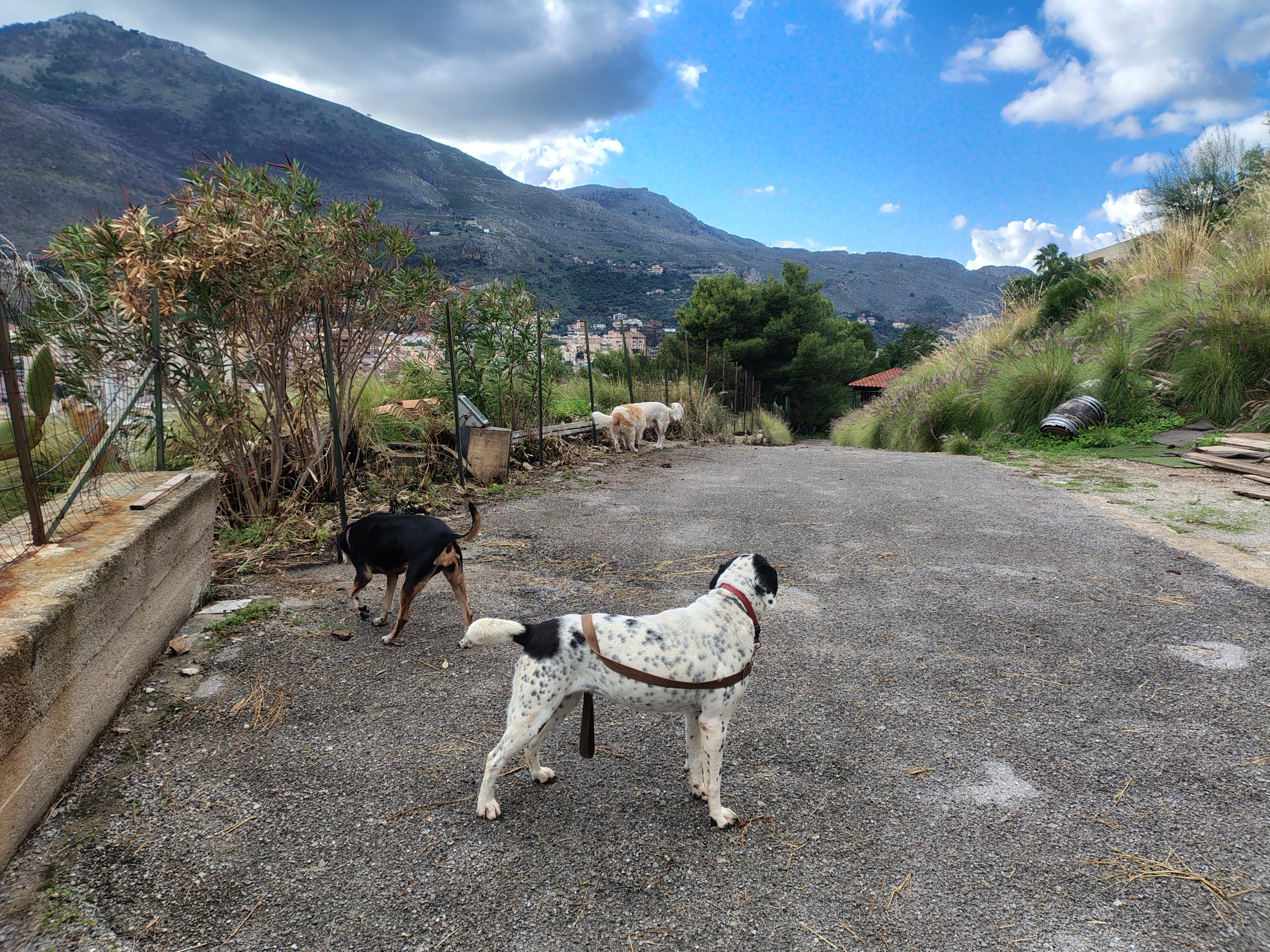 image-9