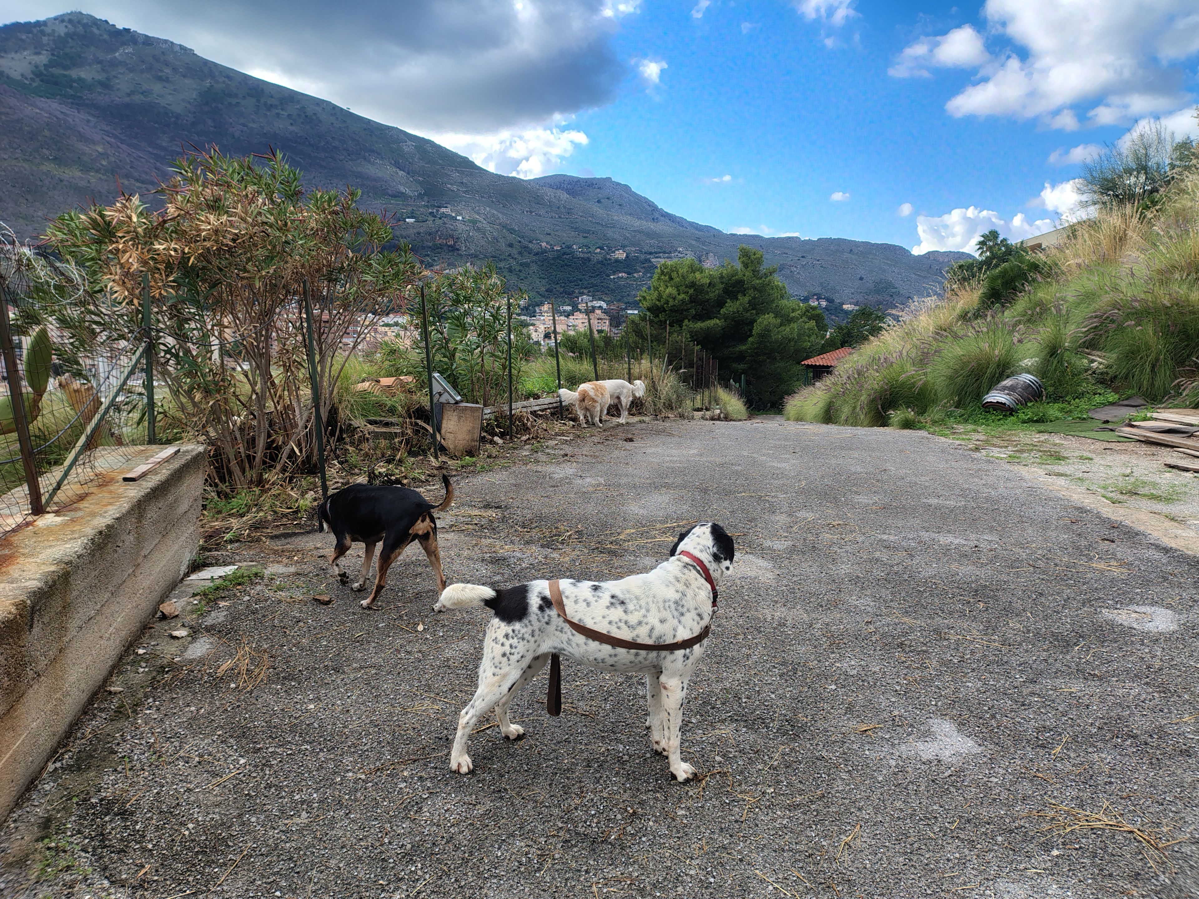 image-9